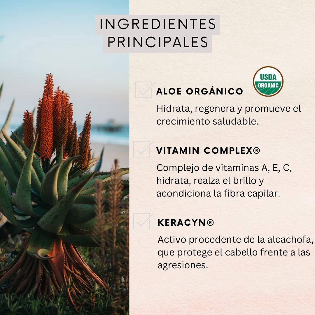 Pack 3 Shampoo Hidratación y brillo 350 ml Naturaloe-2