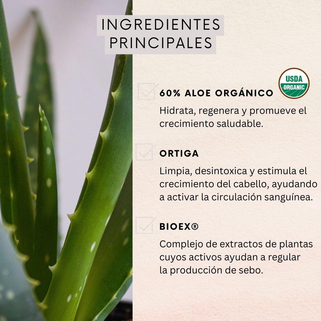 Shampoo Control Caida Graso + Acondicionador Caida 350ml-3