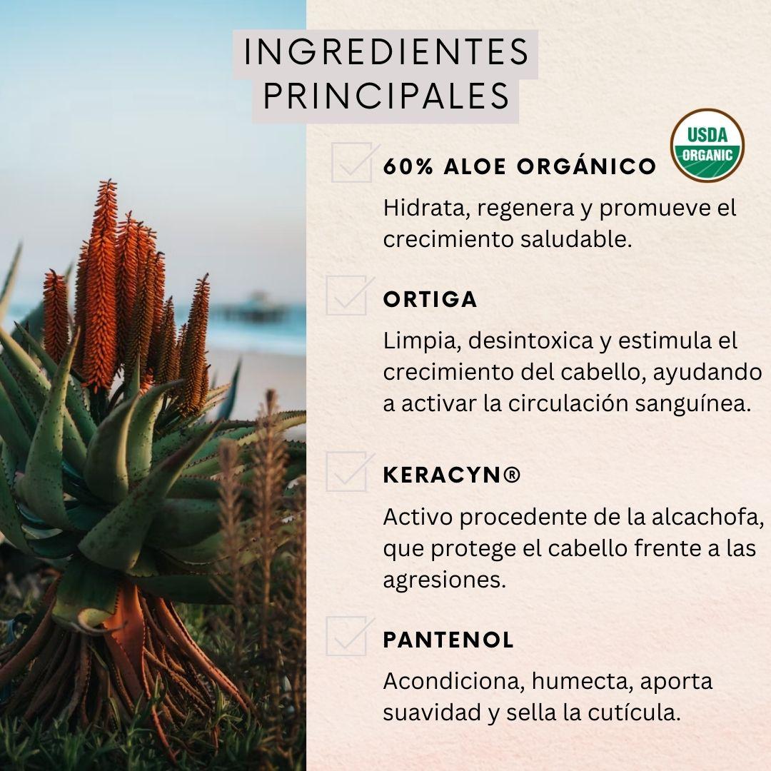 Shampoo Naturaloe Control Caída Normal 350ml-2
