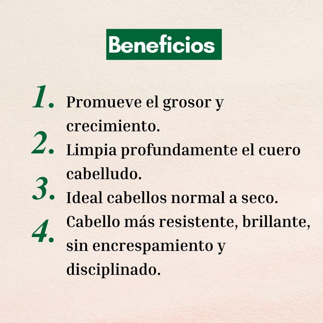 Shampoo Naturaloe Control Caída Normal 350ml-4