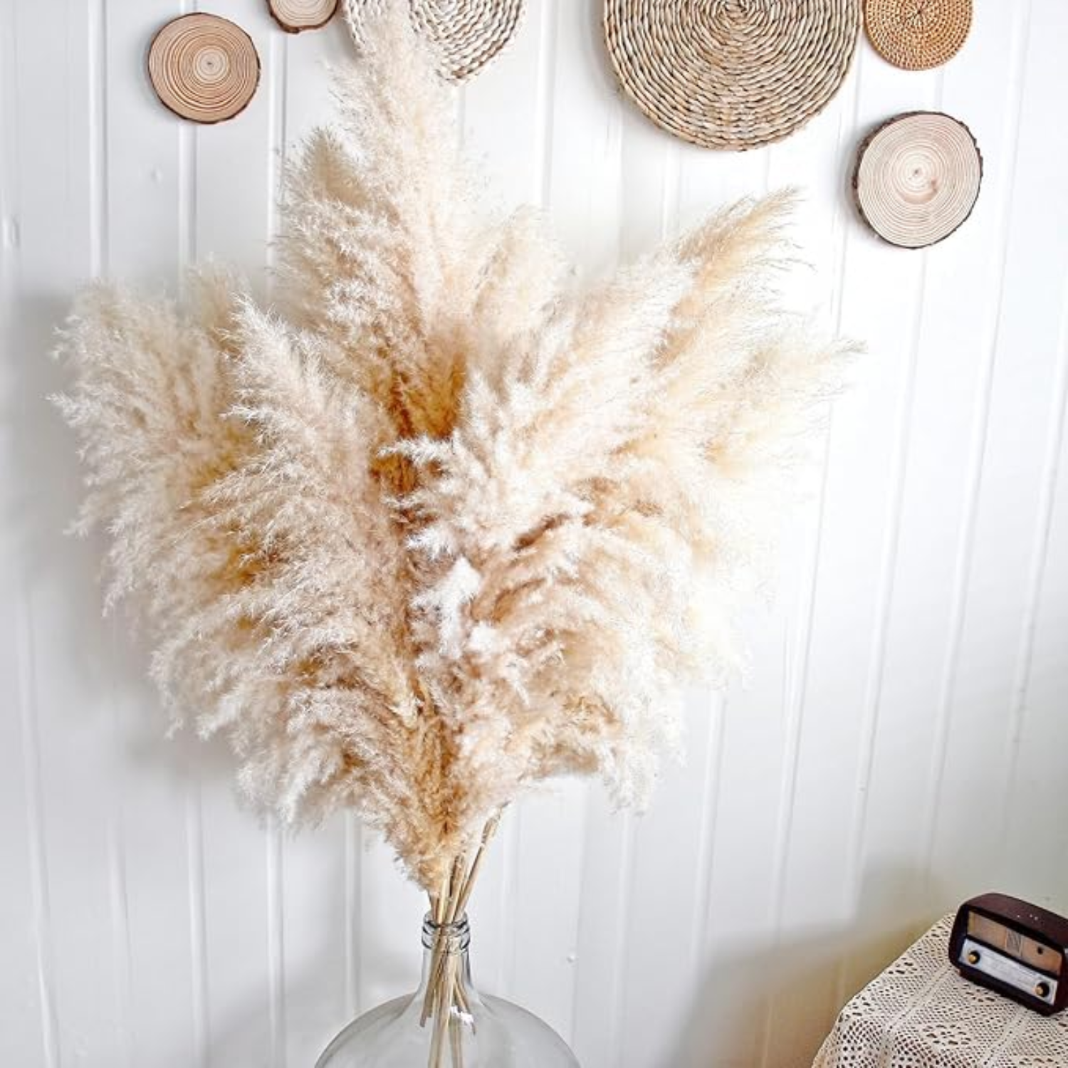 Ramo de 10 Pampas Secas Decorativas XL Cola de Zorro-4