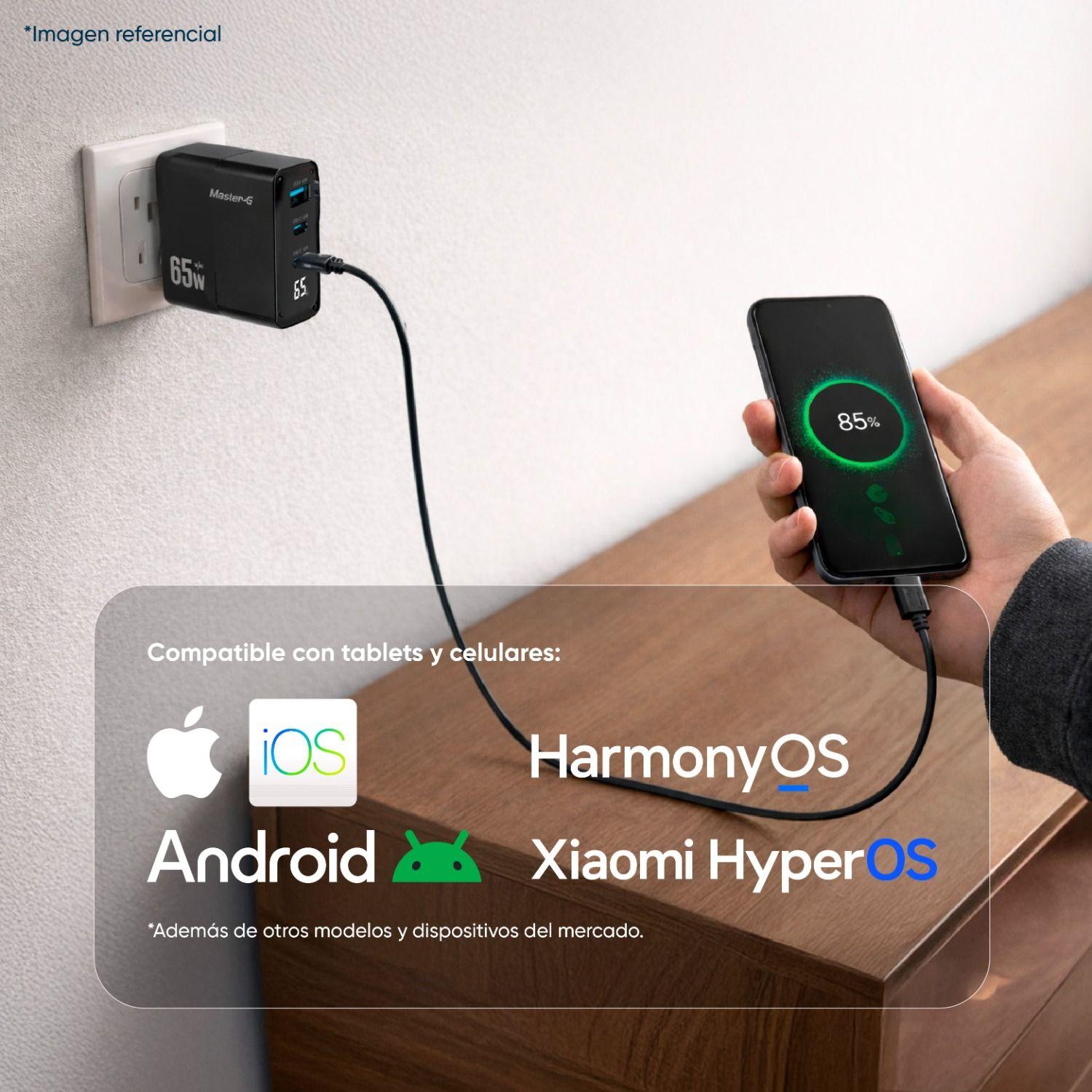 Cargador Portátil Carga Rápida 65w + Cable USB-C Master-G-3