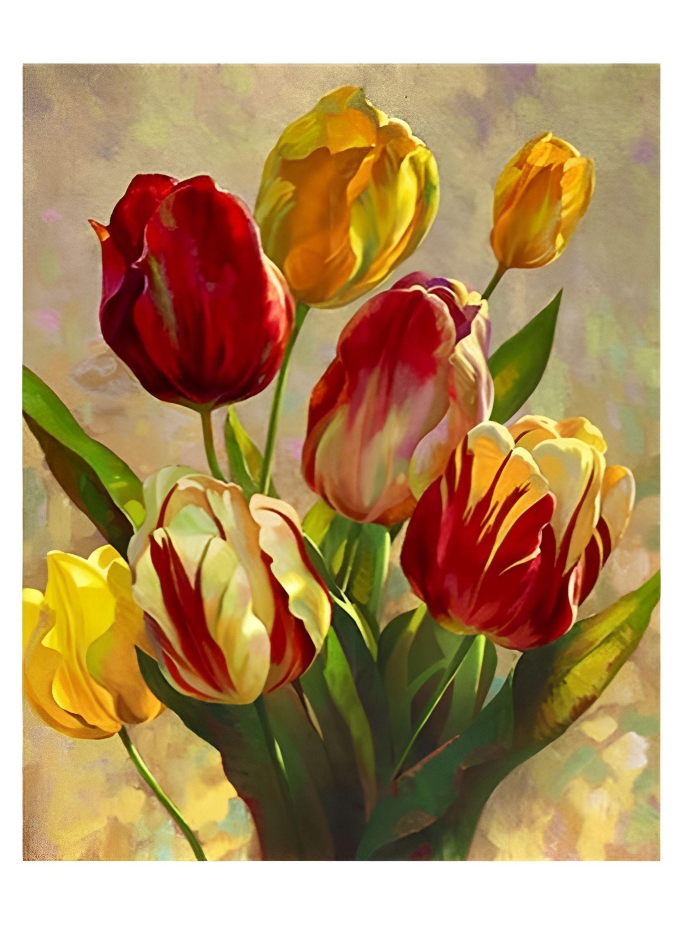 Pintura por Números 50 x 40 cms - Tulipanes-0