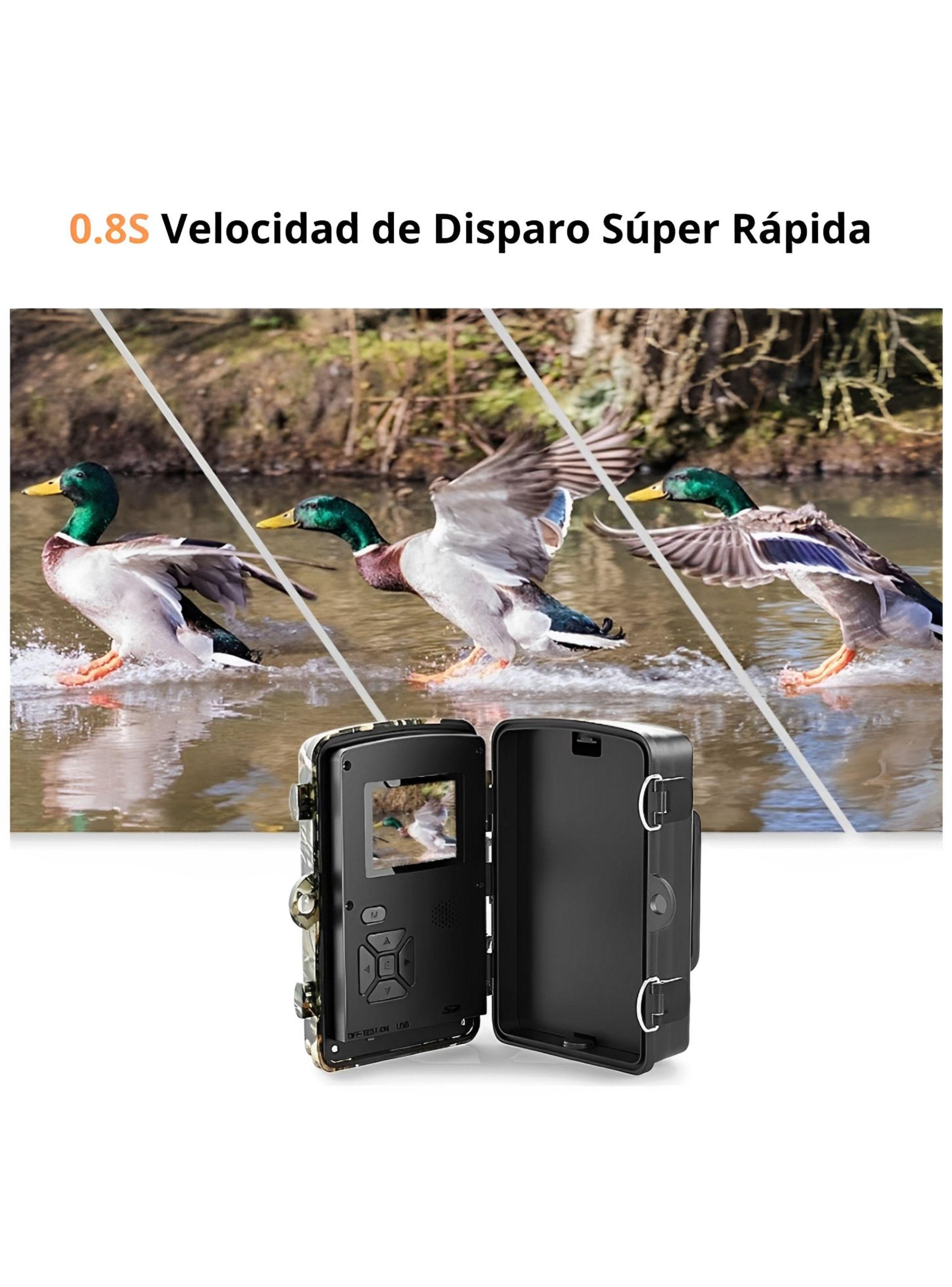 Cámara de Rastreo para Cacería con Baterías, Visión Nocturna-3