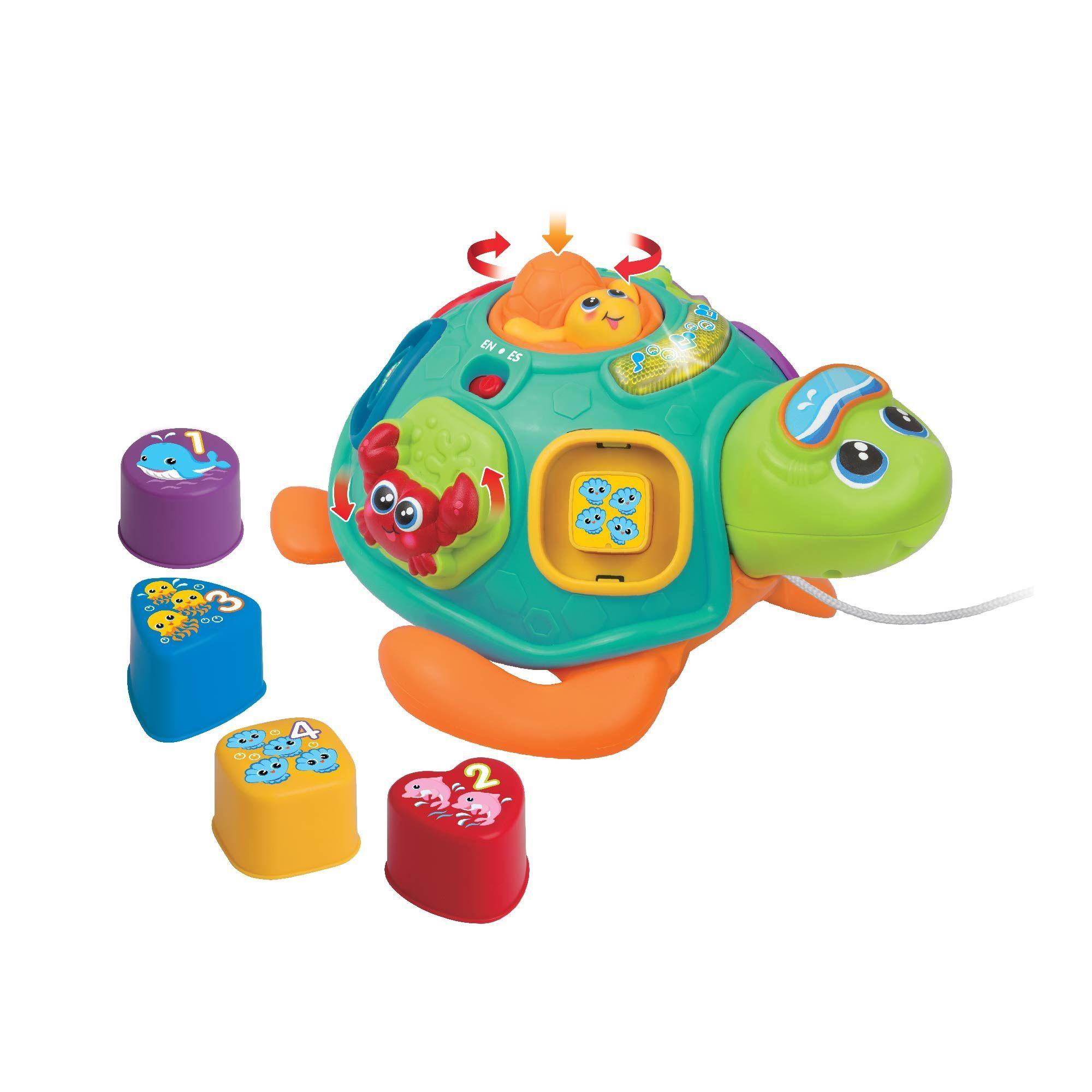 TORTUGA A CUERDA CLASIFICA Y APRENDE-2