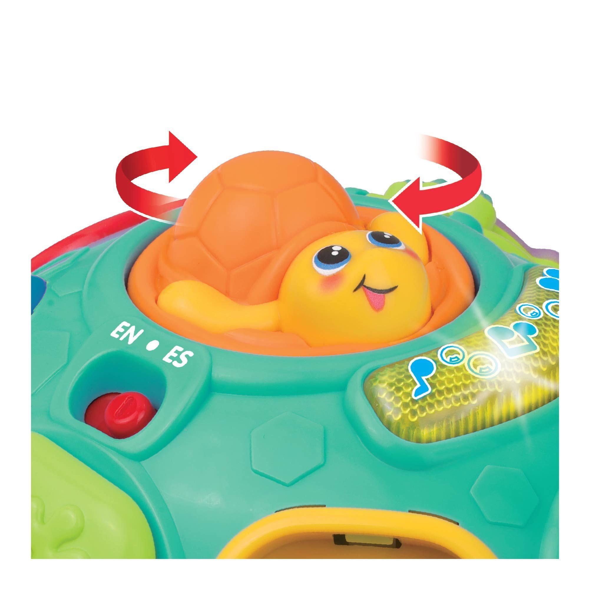 TORTUGA A CUERDA CLASIFICA Y APRENDE-4