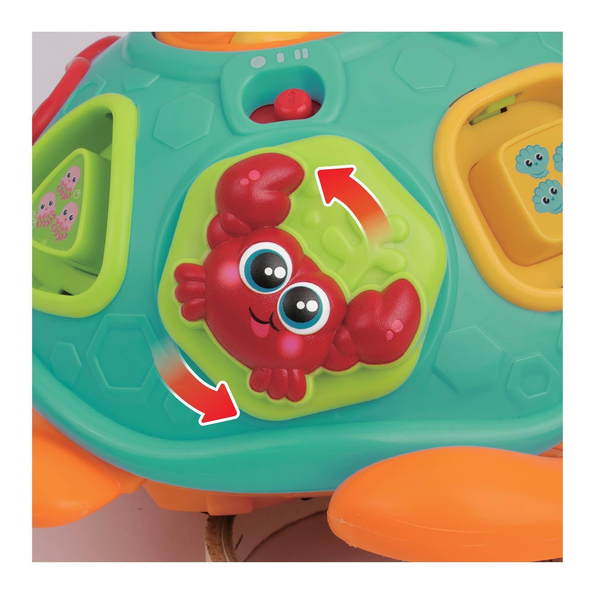 TORTUGA A CUERDA CLASIFICA Y APRENDE-6