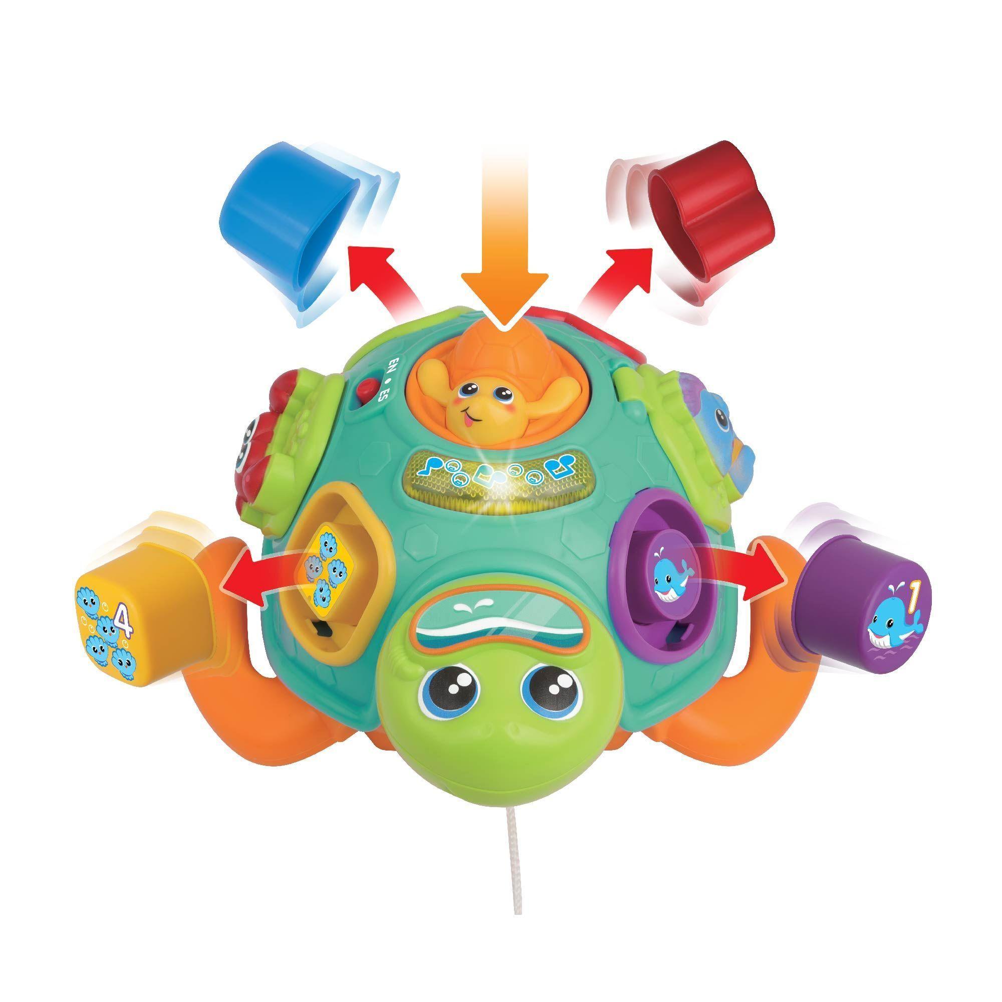 TORTUGA A CUERDA CLASIFICA Y APRENDE-3