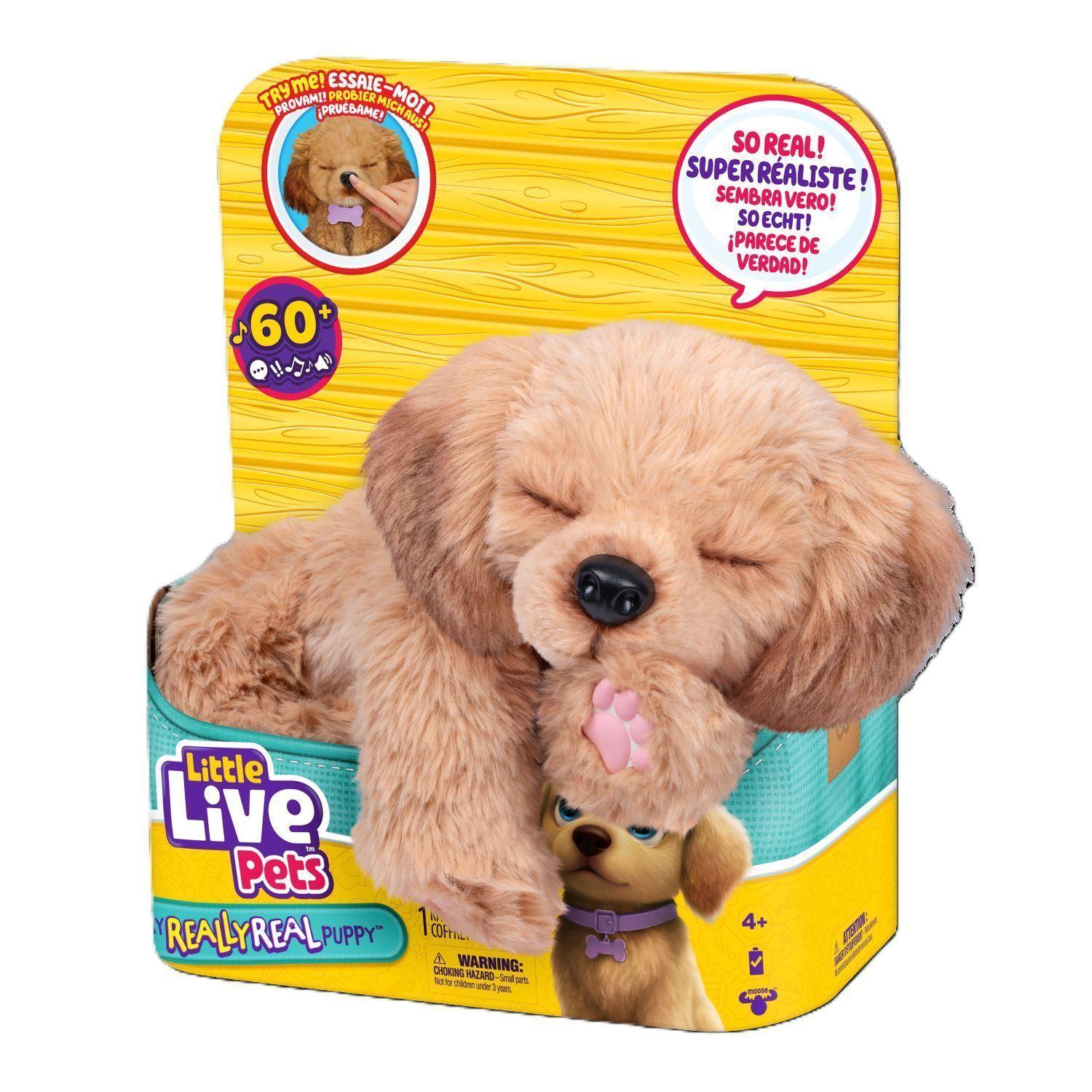 Little Live Pets Bailey Cachorro Real Interactivo-6