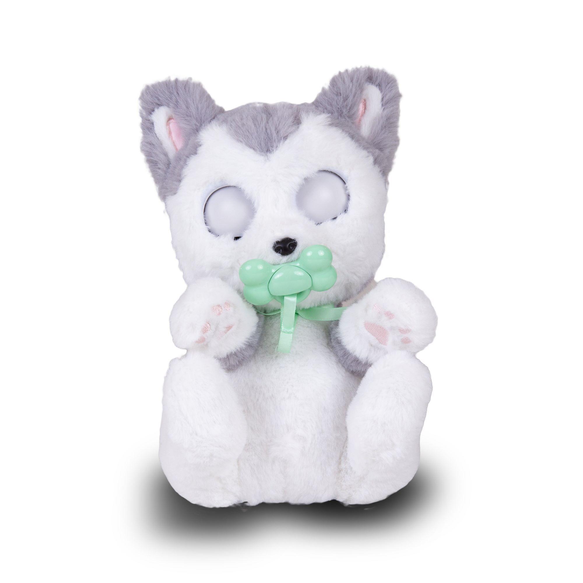Baby Paws Mascota-2