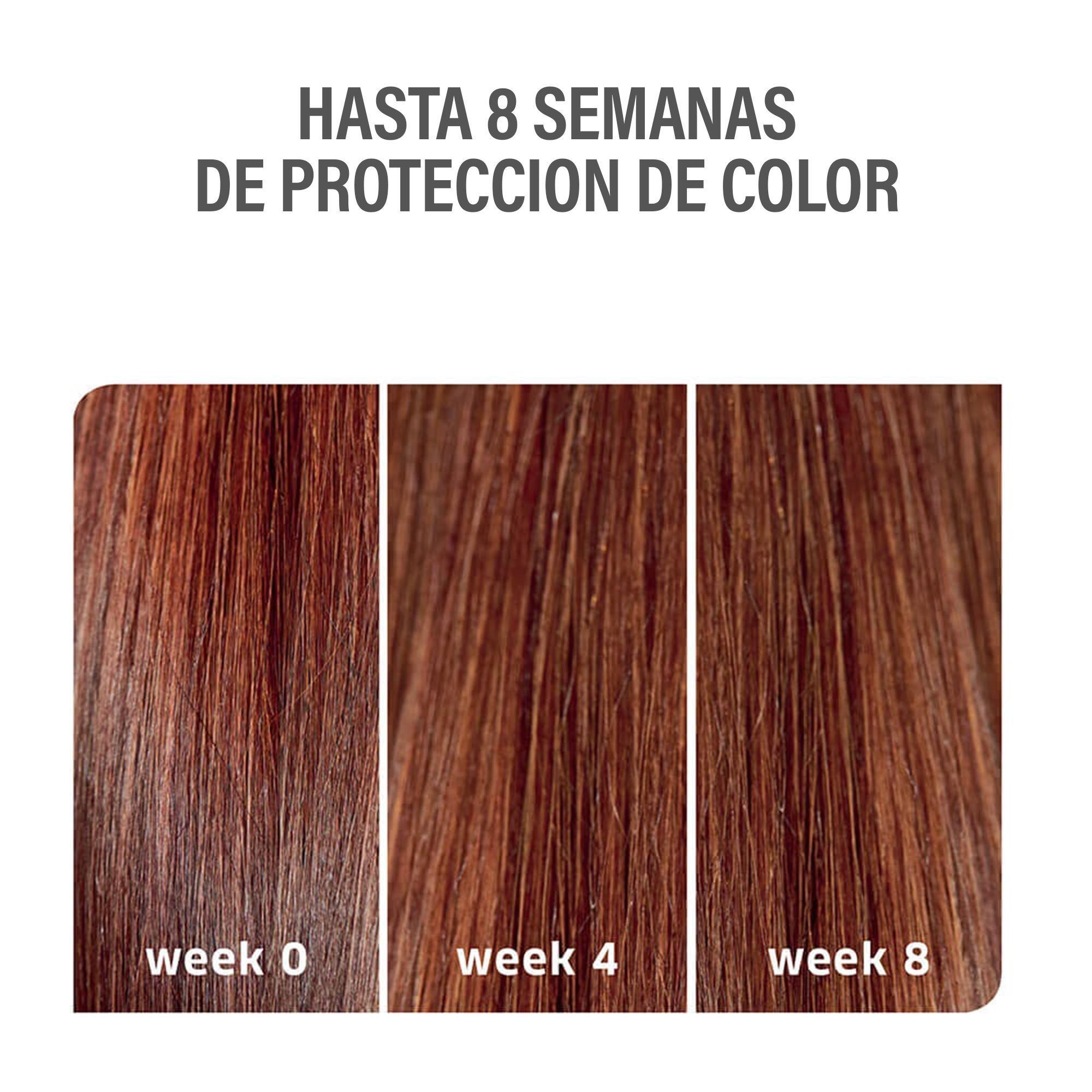 Acondicionador Color Motion Wella Hidratante De 1000 Ml-3