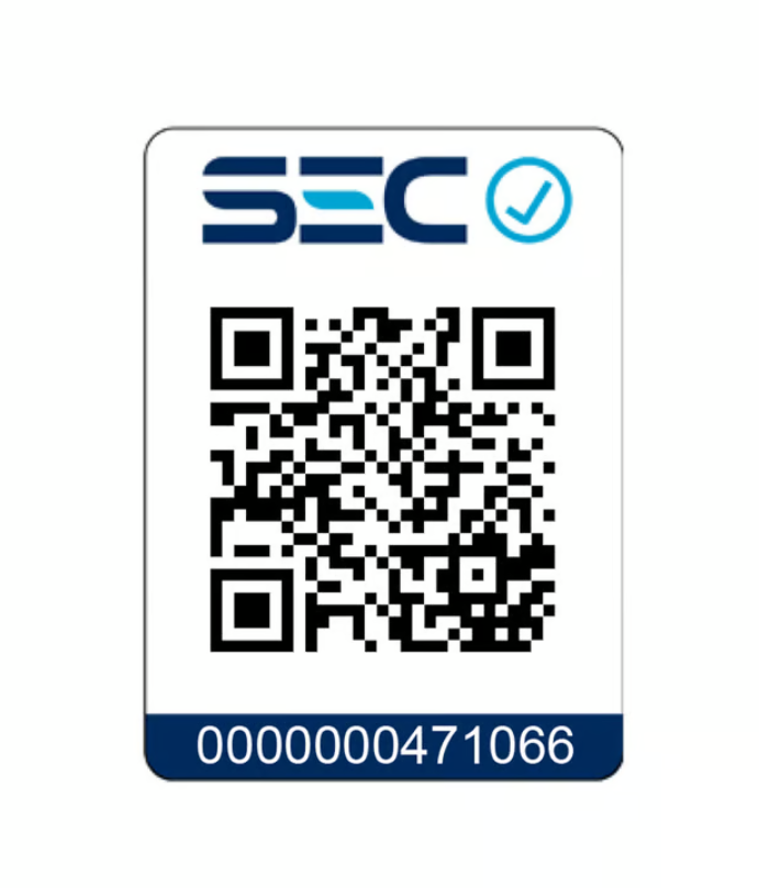 Alisadora Gama X-wide Digital 4d Dual Plates Ceramic Oil-8