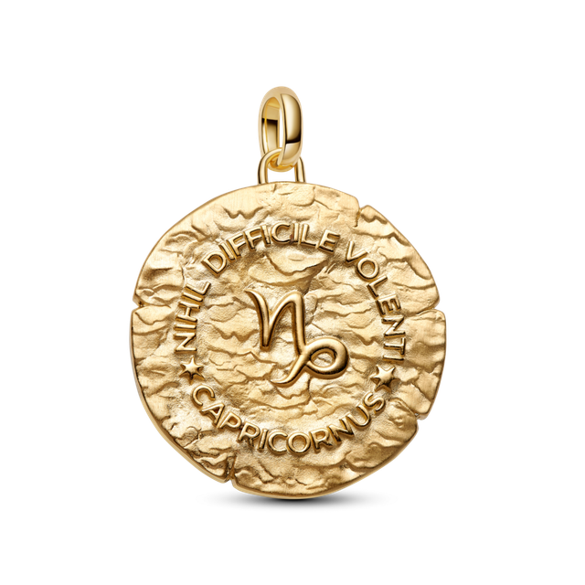 Charm Medallón Grande Signo Zodical Capricornio-1