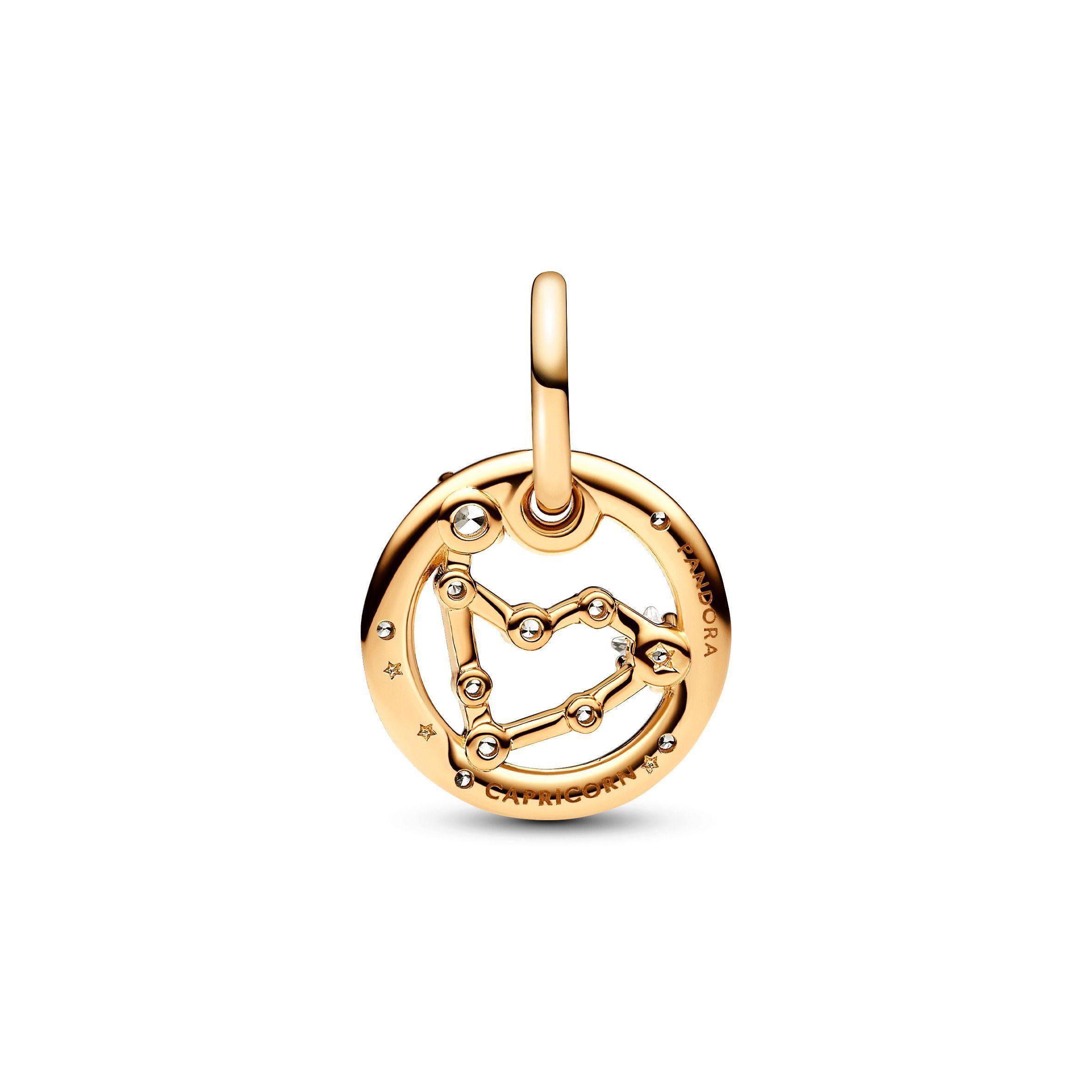 Charm Colgante Zodiaco Capricornio-1
