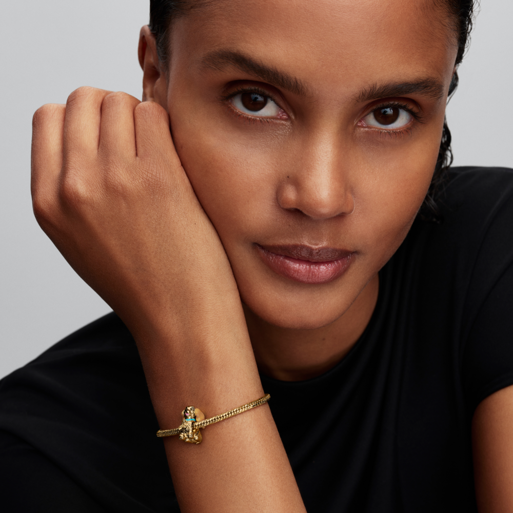 Charm Dama de Disney-3