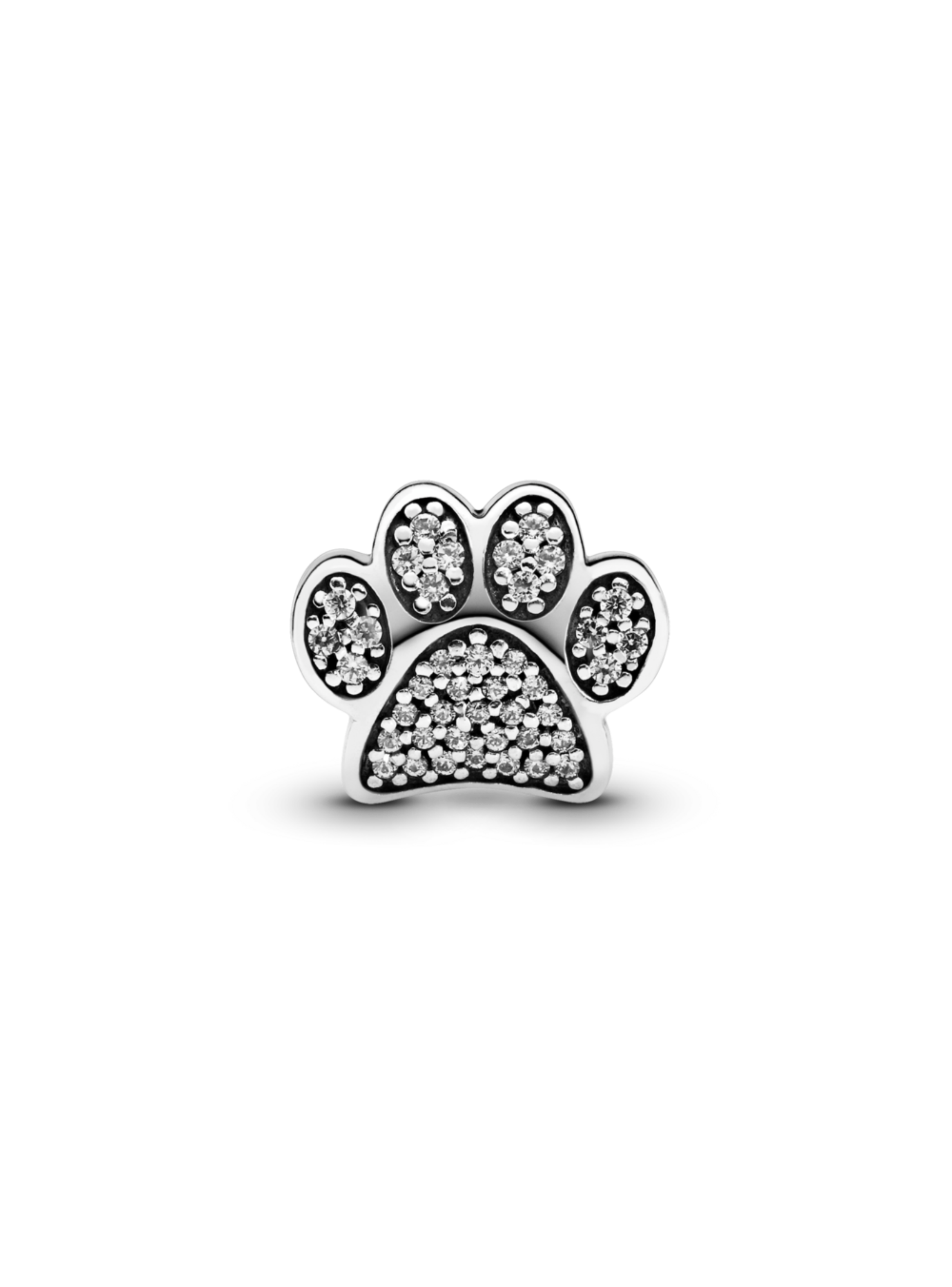 Charm Impresiones de Patitas-0