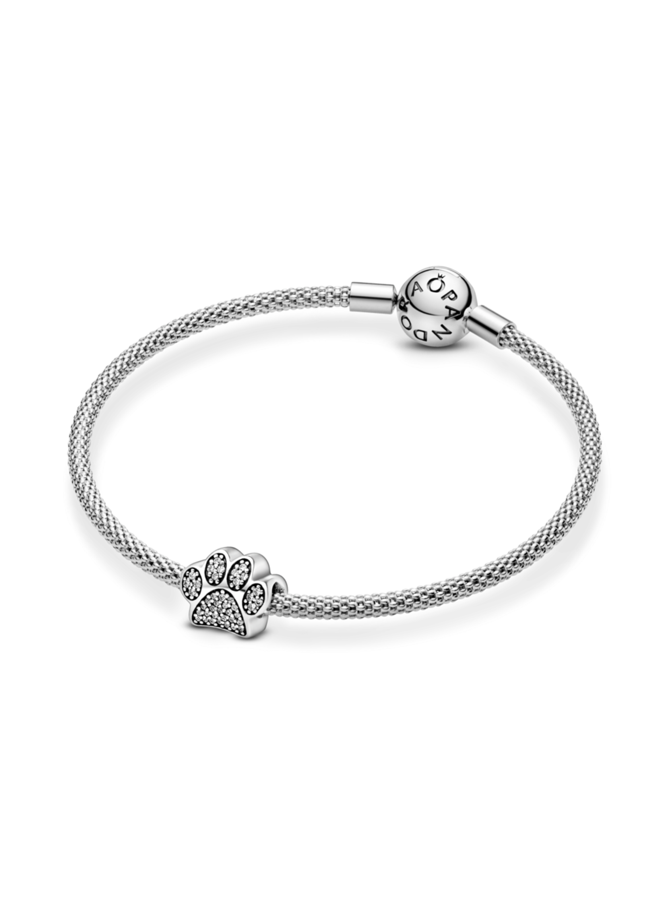 Charm Impresiones de Patitas-1