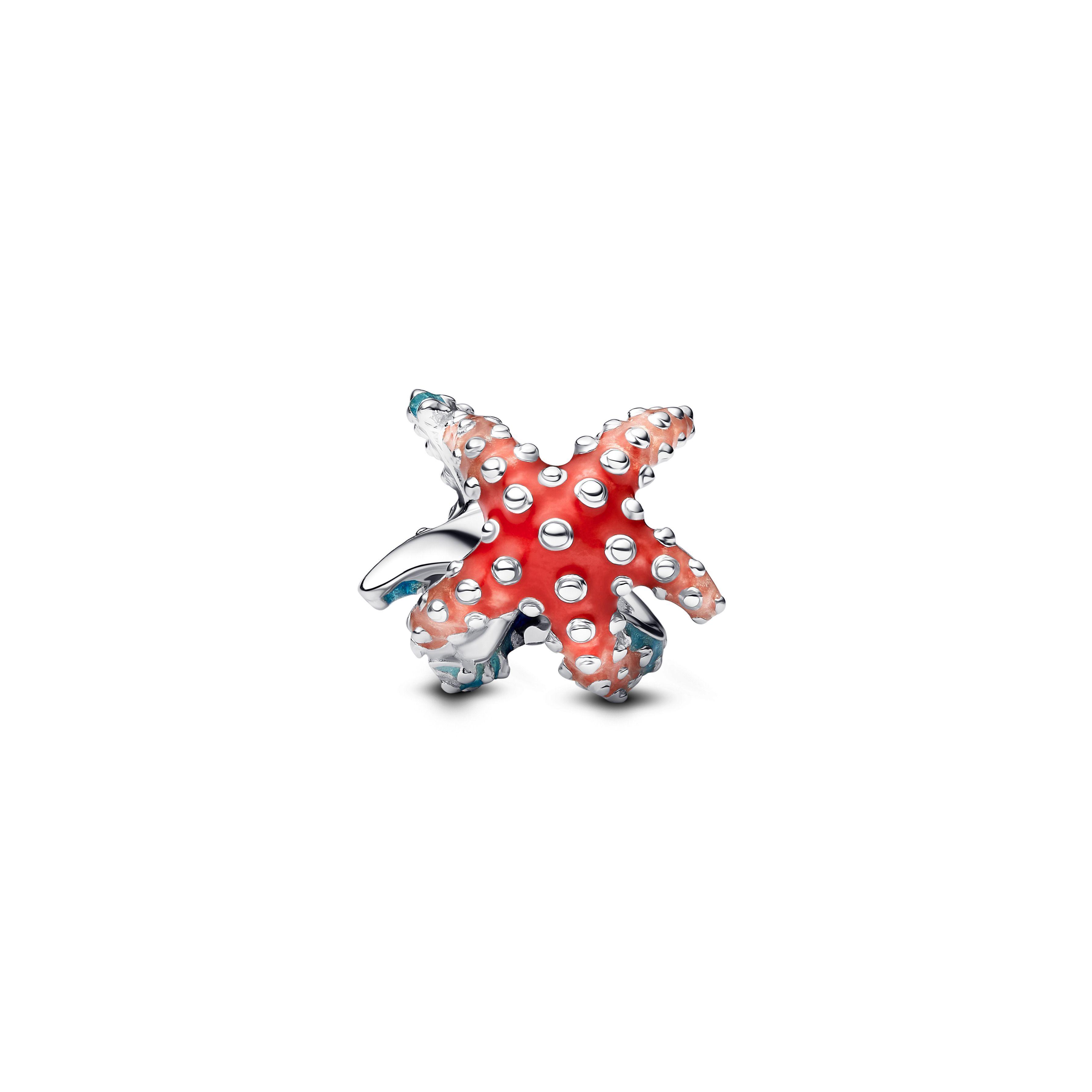 Mini Charm Estrella de Mar Colorida-1