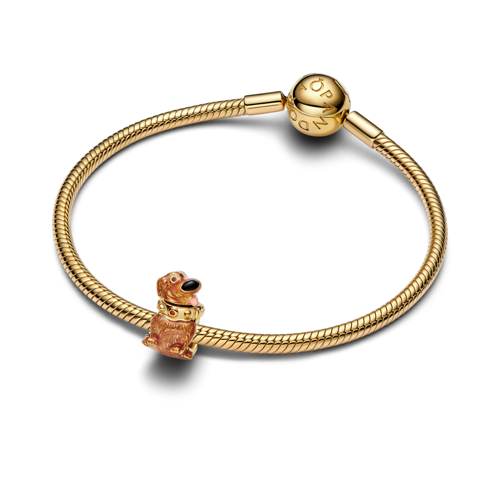 Charm Up Dug de Disney Pixar-2