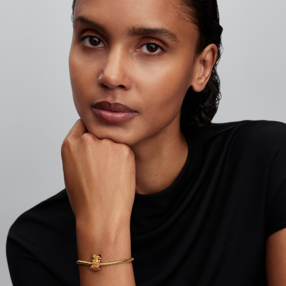 Charm Up Dug de Disney Pixar-3