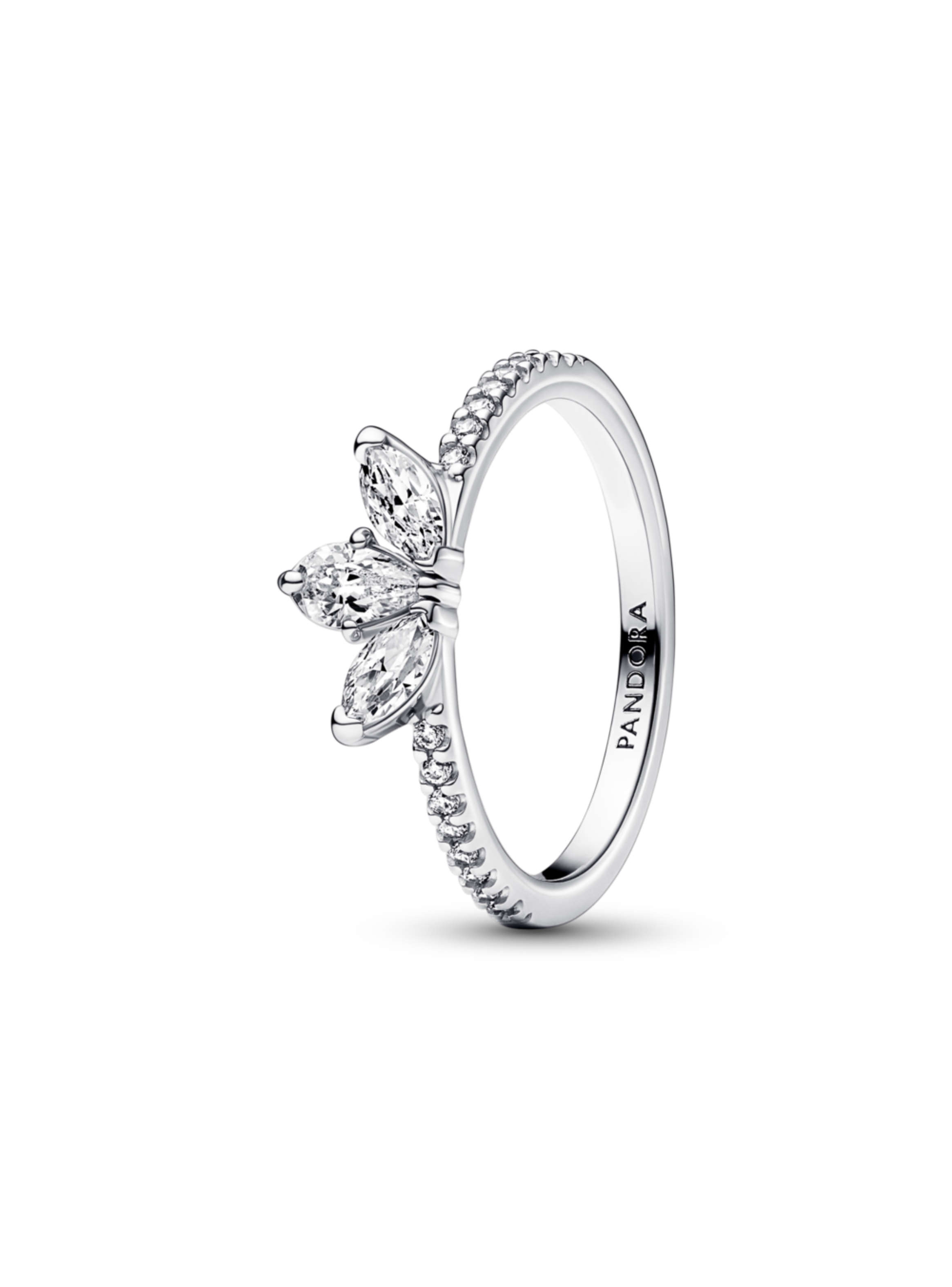 Anillo en Plata  Racimo Herbario  Brillante -1