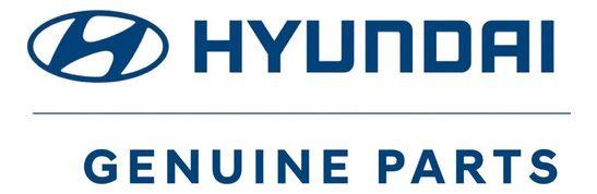 Optico Delantero Izquierdo Hyundai Santa Fe 2013-2015-2