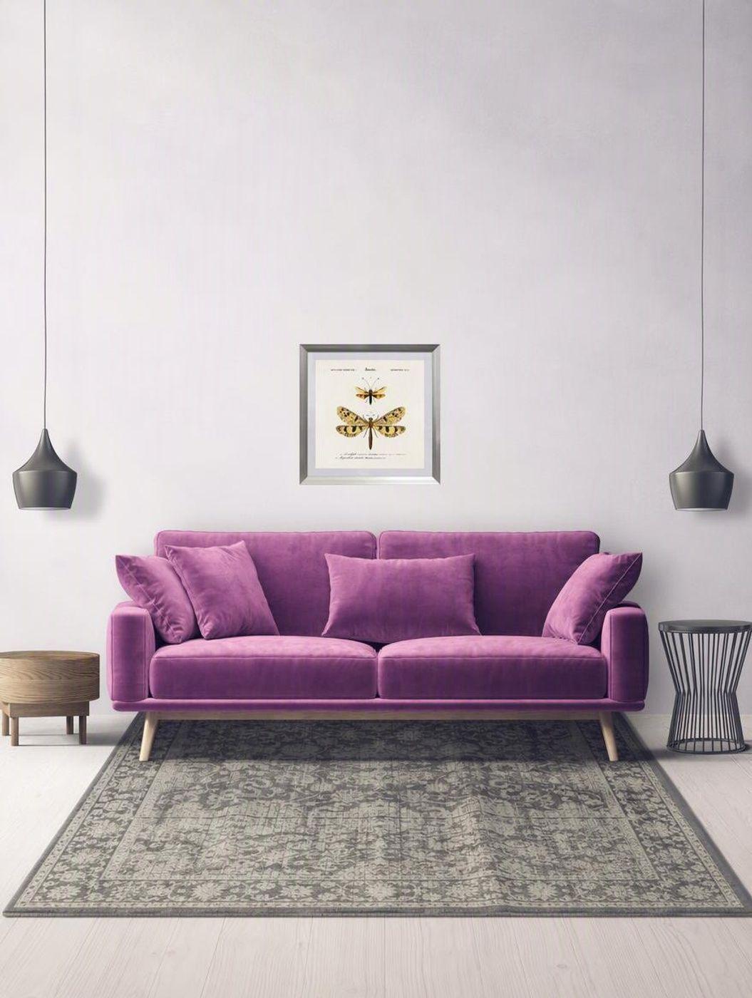 Cuadro insecto nevropteres 50X50 CMS-5