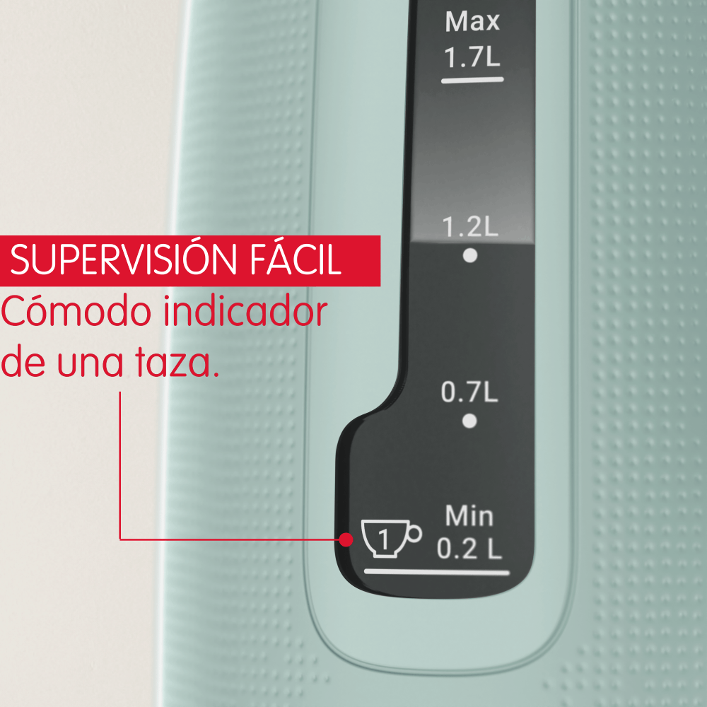 Hervidor Morning 1,7L Eucalipto Moulinex-2