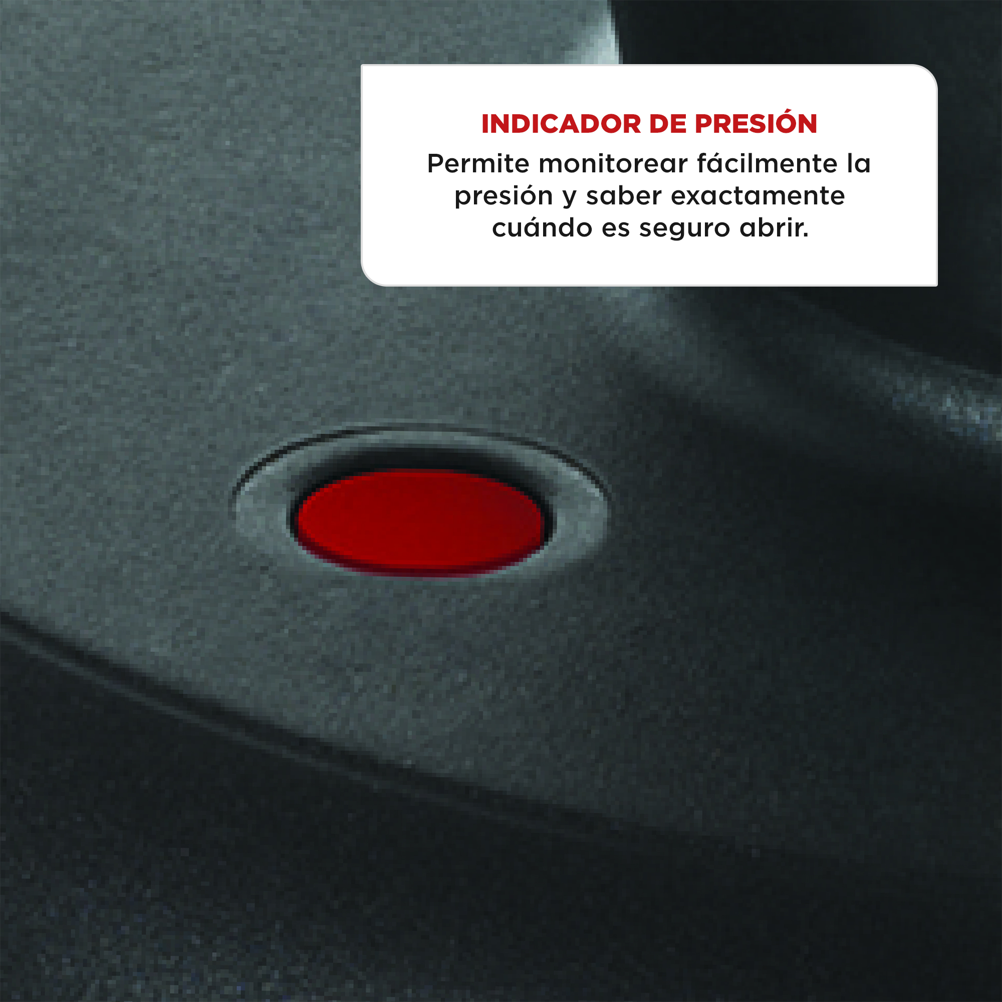 Olla a Presión Clipso Acero Inoxidable 7,5L-6