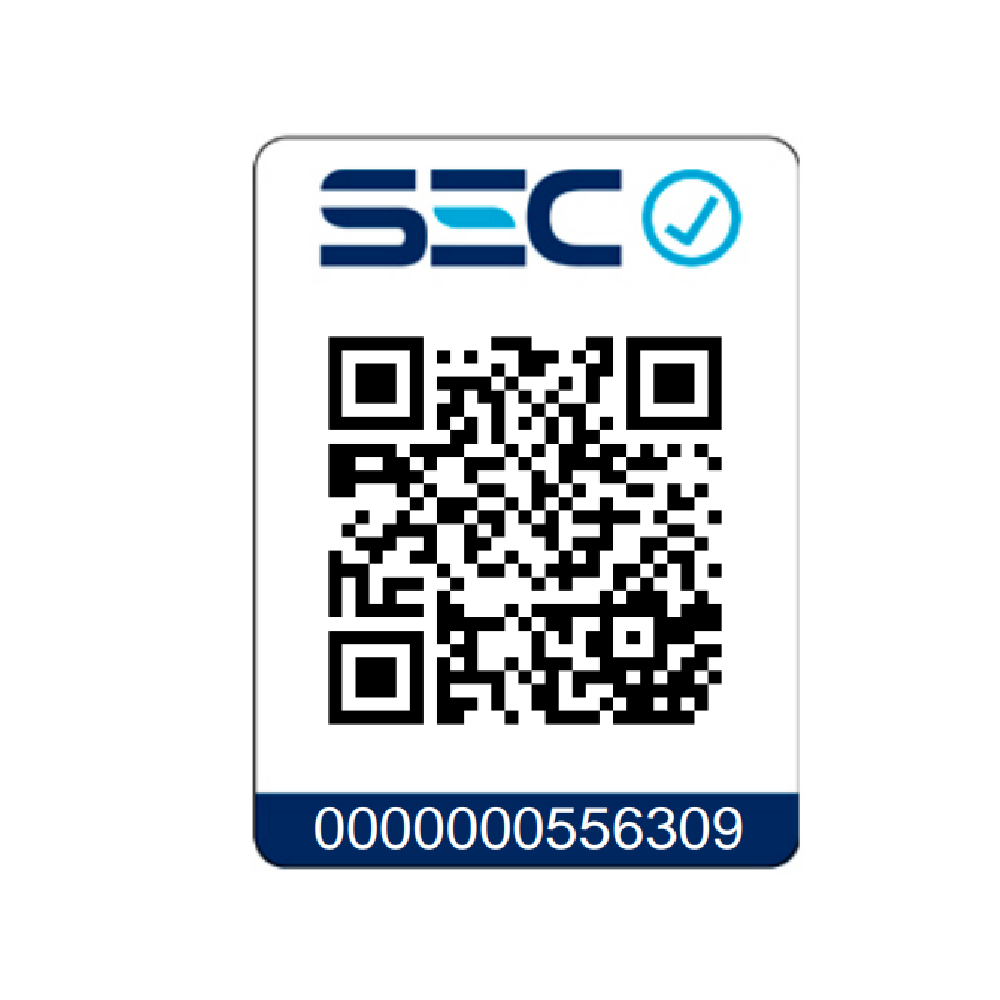 Plancha de vapor Efective 2200W Rowenta-5