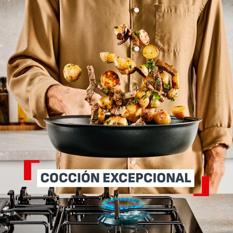 Sarten Excellence Plus Fusion Core 20 CM Tefal-3