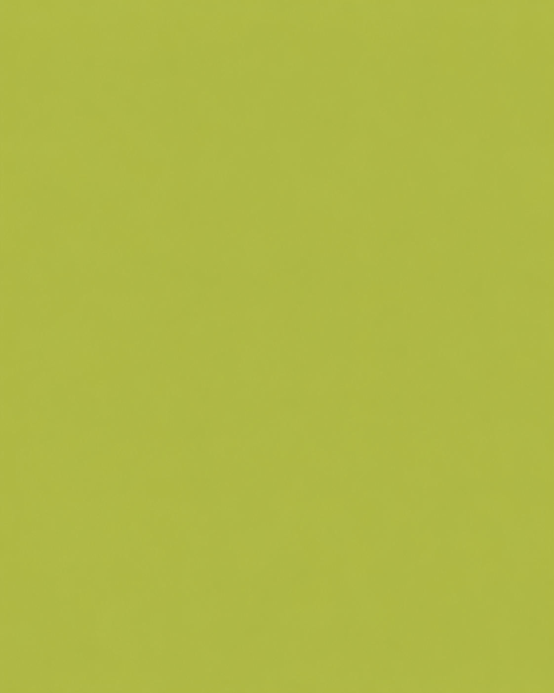 Cardstock - Cartulina Autoadhesiva Verde Claro Silhouette-0