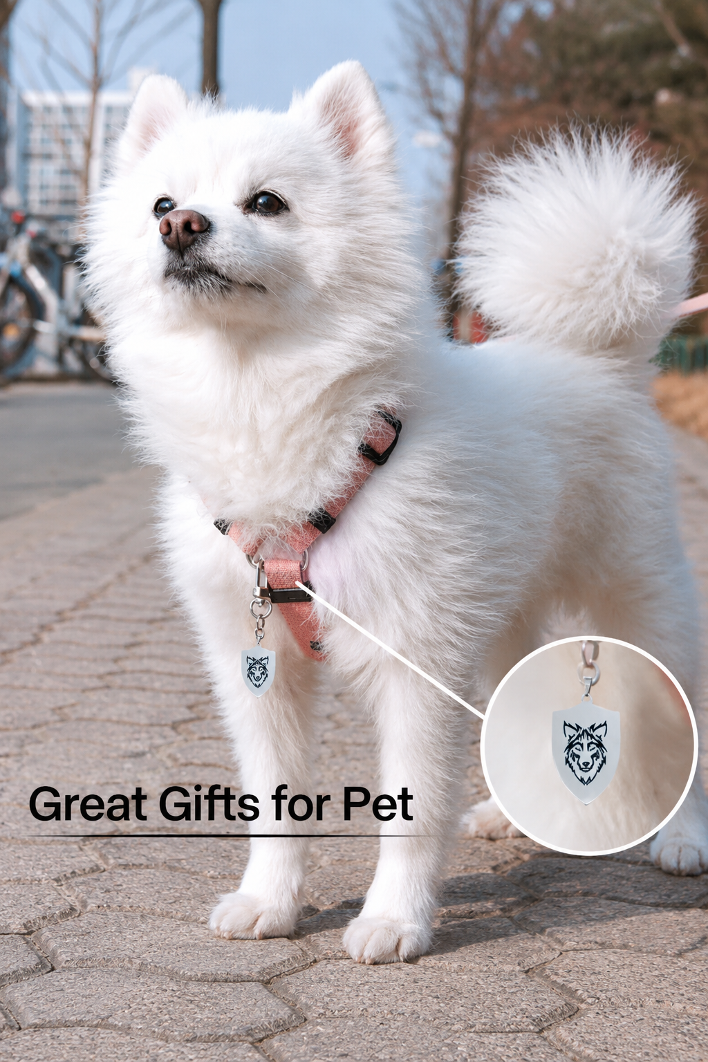 XTOOL Silver Bone Dog Tag-3