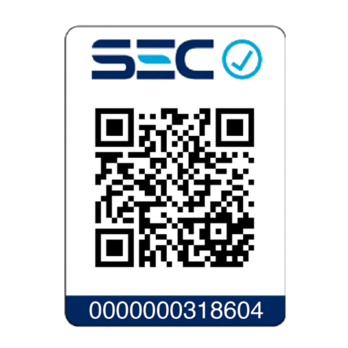 Taladro Percutor 20V Bat/5AhDCD796P1+MultiHerramienta Gratis-7