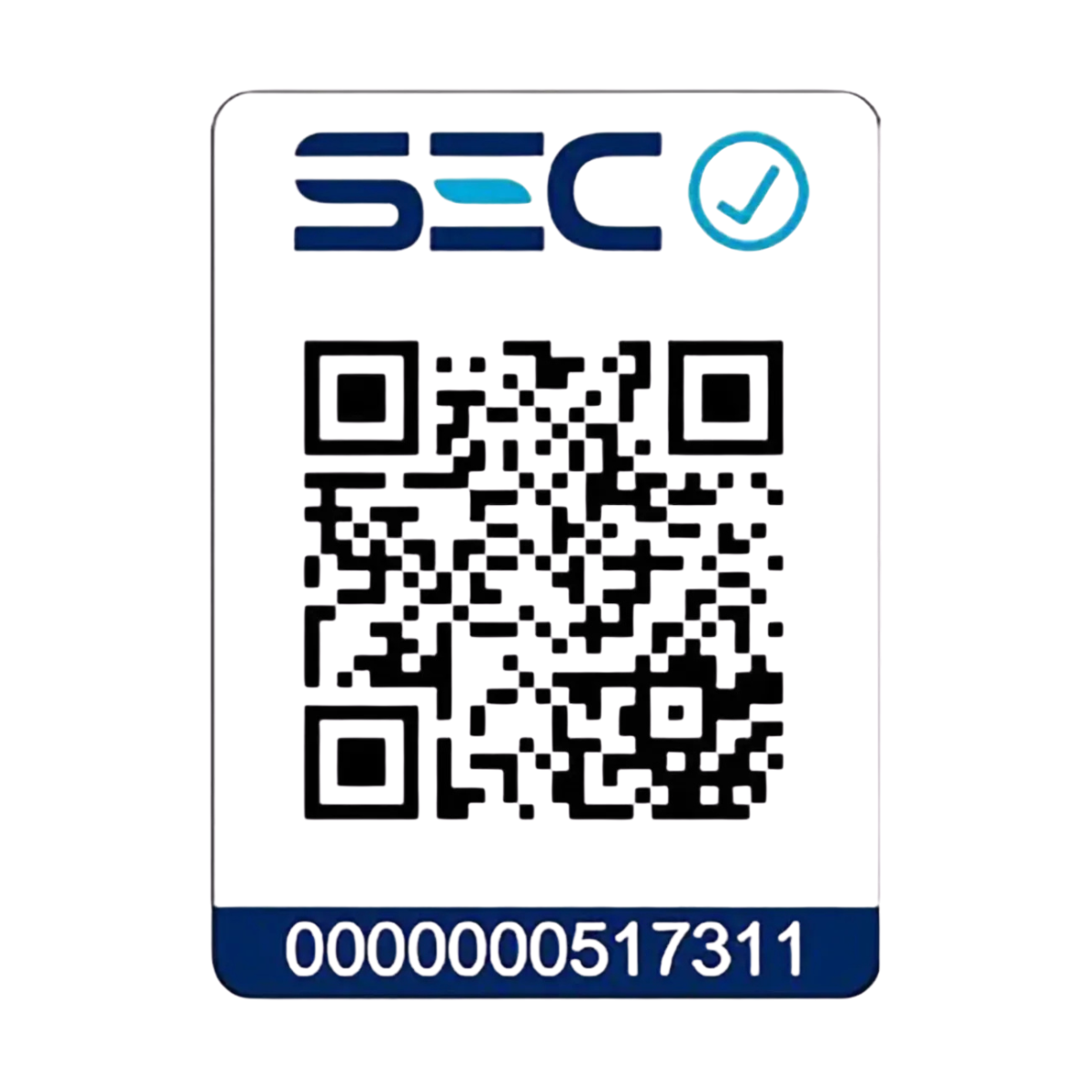 Martillo Demoledor Inalámbrico Sds 60v 11kg DeWALT DCH911B-4