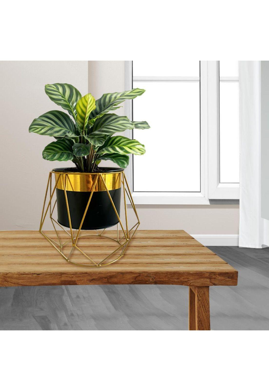 Macetero Decorativo Moderno - Estilo Pedestal Geométrico-2
