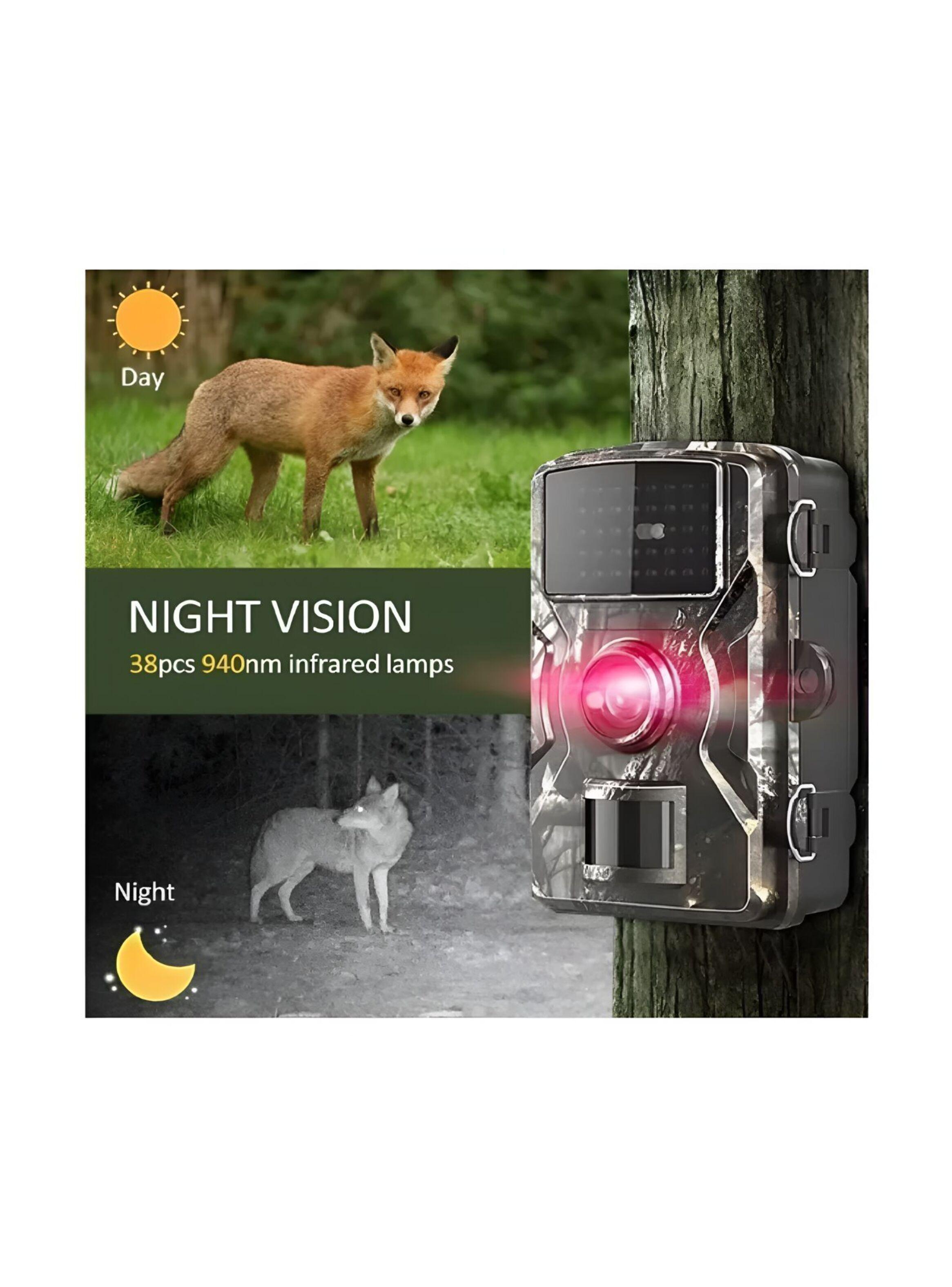 Cámara Caza Trampa Nocturna Ceva Video Full Hd Rastreo 16mp-2