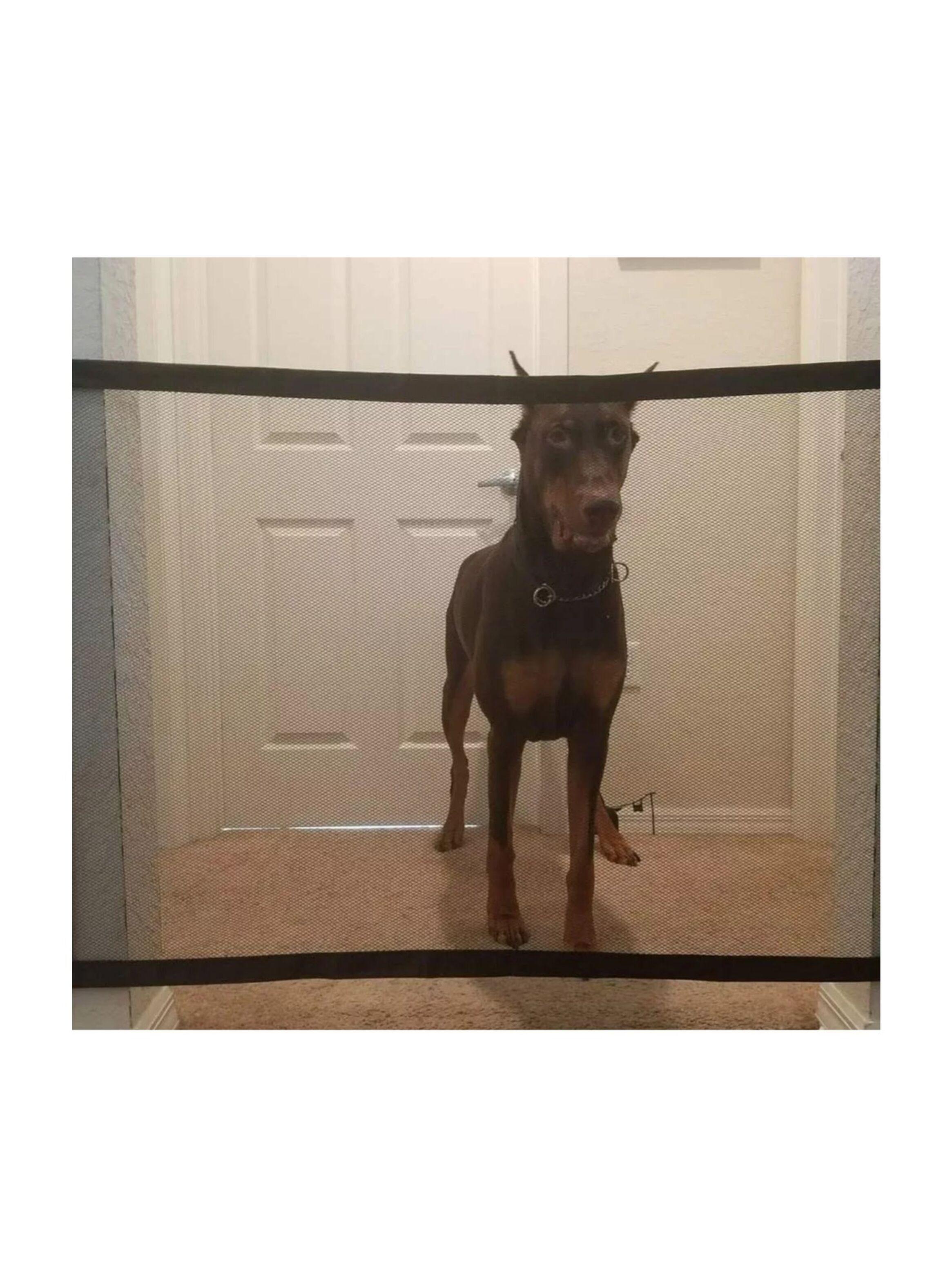 Puerta Mágica Para Mascotas Seguridad Plegable Separador-2