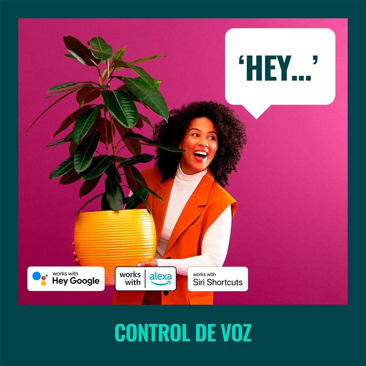 Ampolletas Inteligente WIFI Bluetooth E27 Pack x2 Und. RGB-6