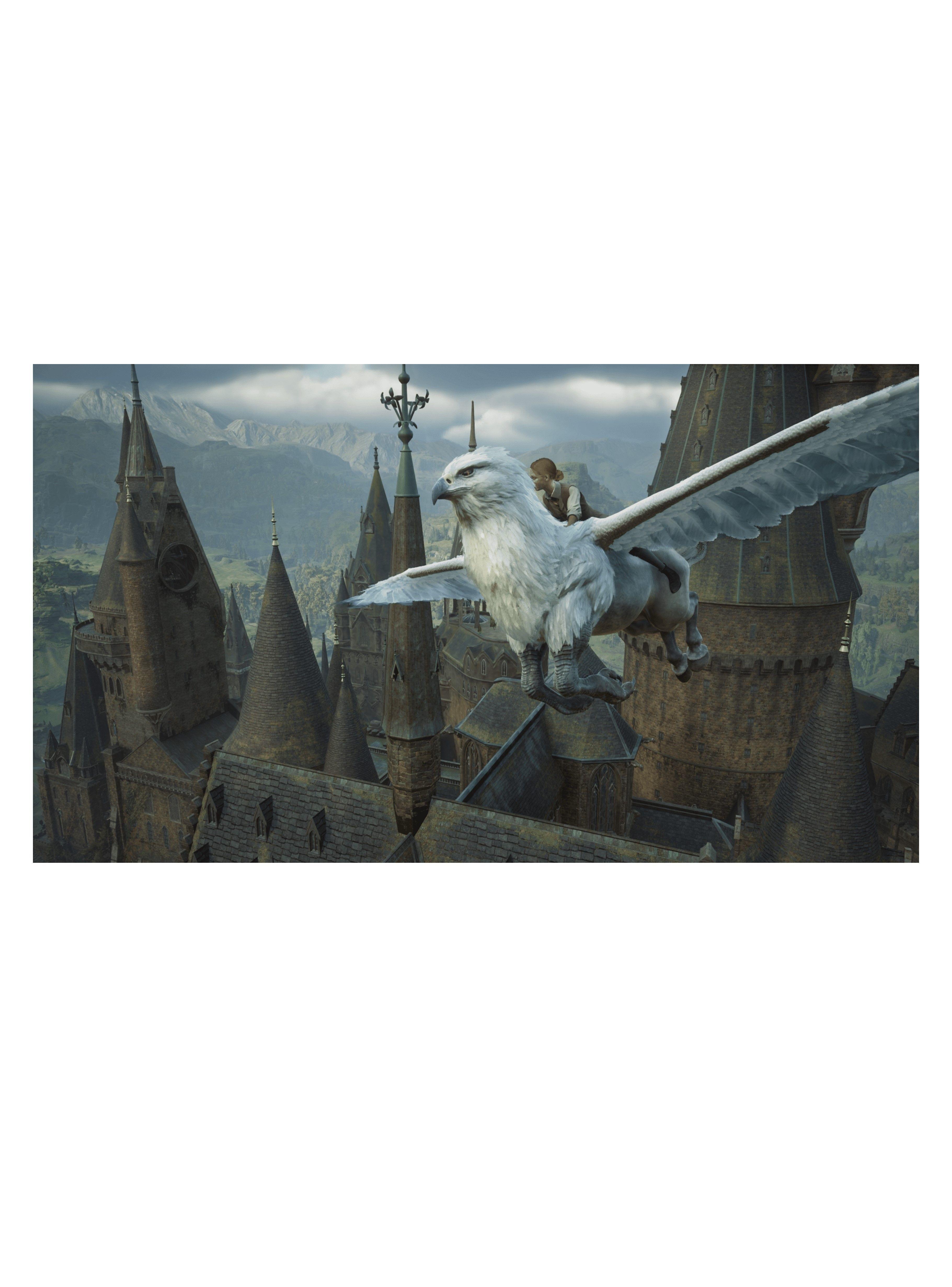 Hogwarts Legacy Euro - Nintendo Switch 2-1