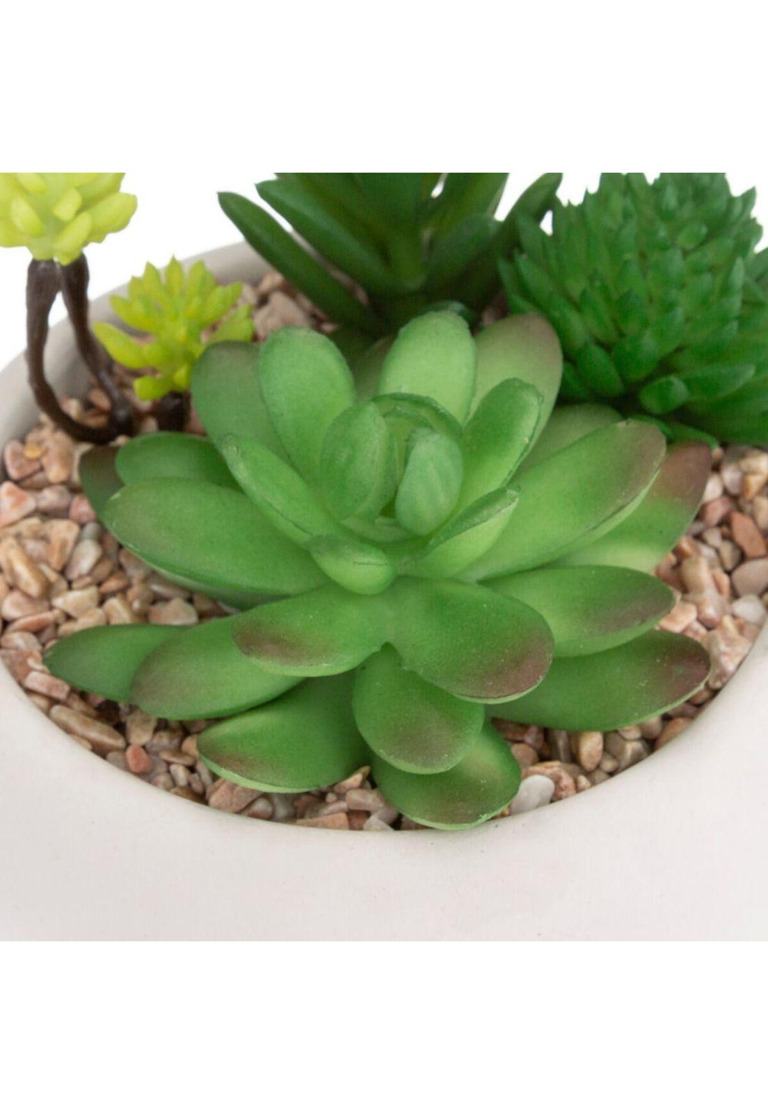Suculentas con maceta cemento, 10 cm de alto-1