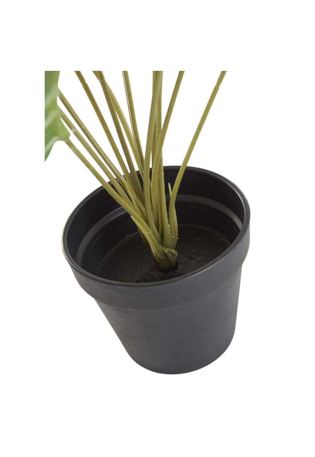 Planta artificial calatea 50cms-4