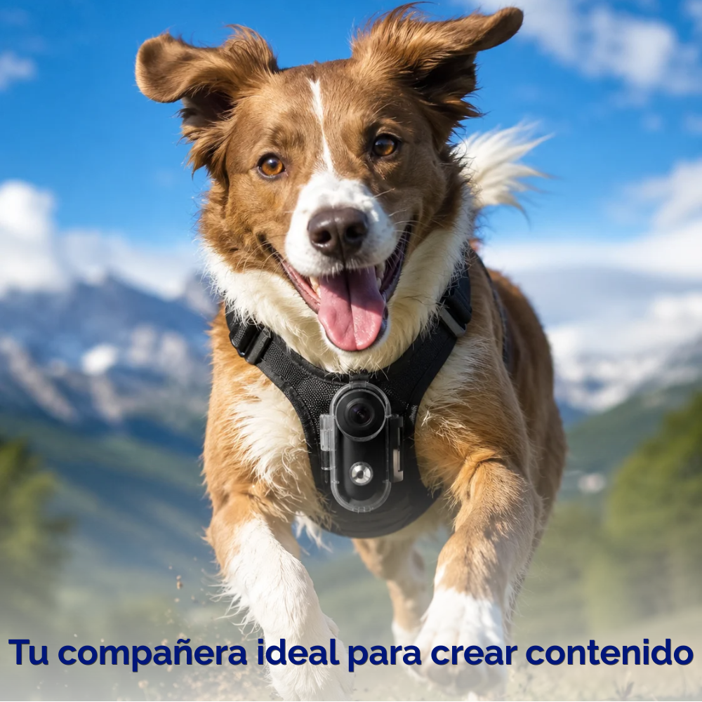 Camara De Accion Deportiva H88 Pro IA 4k Sumergible-4