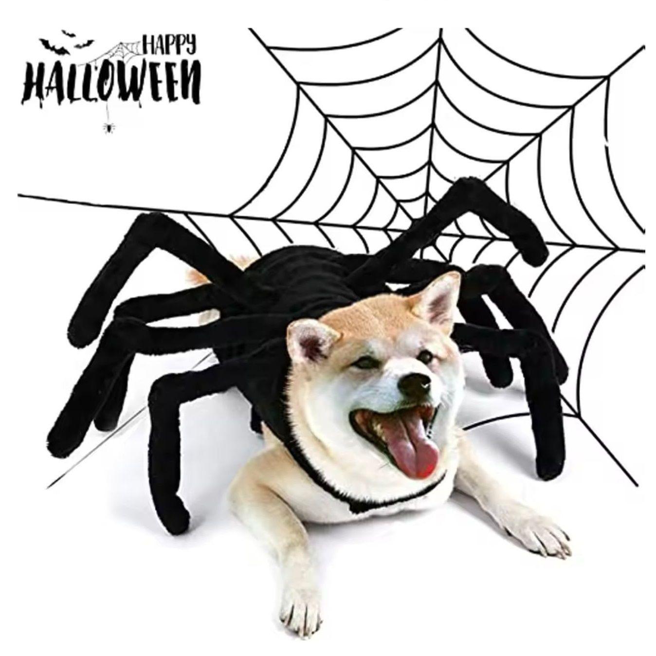 Disfraz De Araña Para Perros, Halloween Con Patas Peludas-3