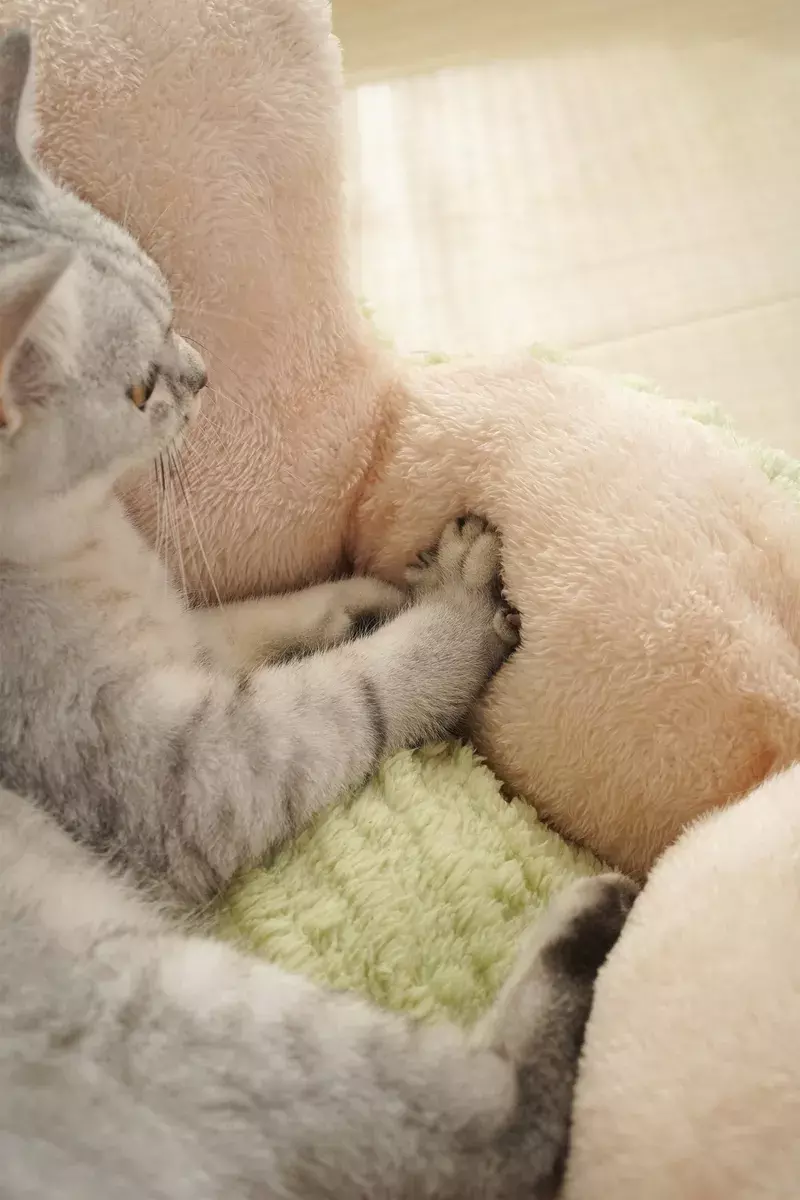 Cama Redonda para Gatos con Textura Suave Antideslizante Color Lila-7