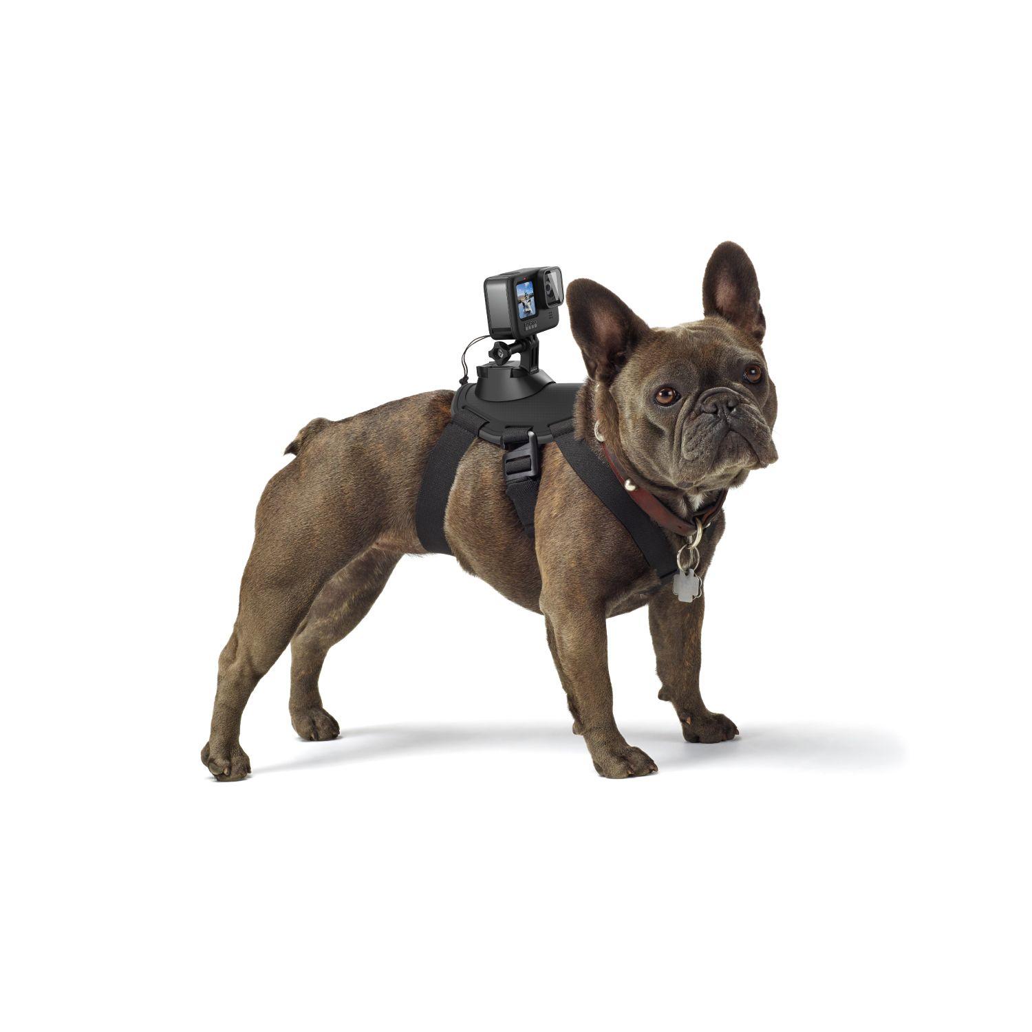 Arnés Fetch (Dog Harness)-0