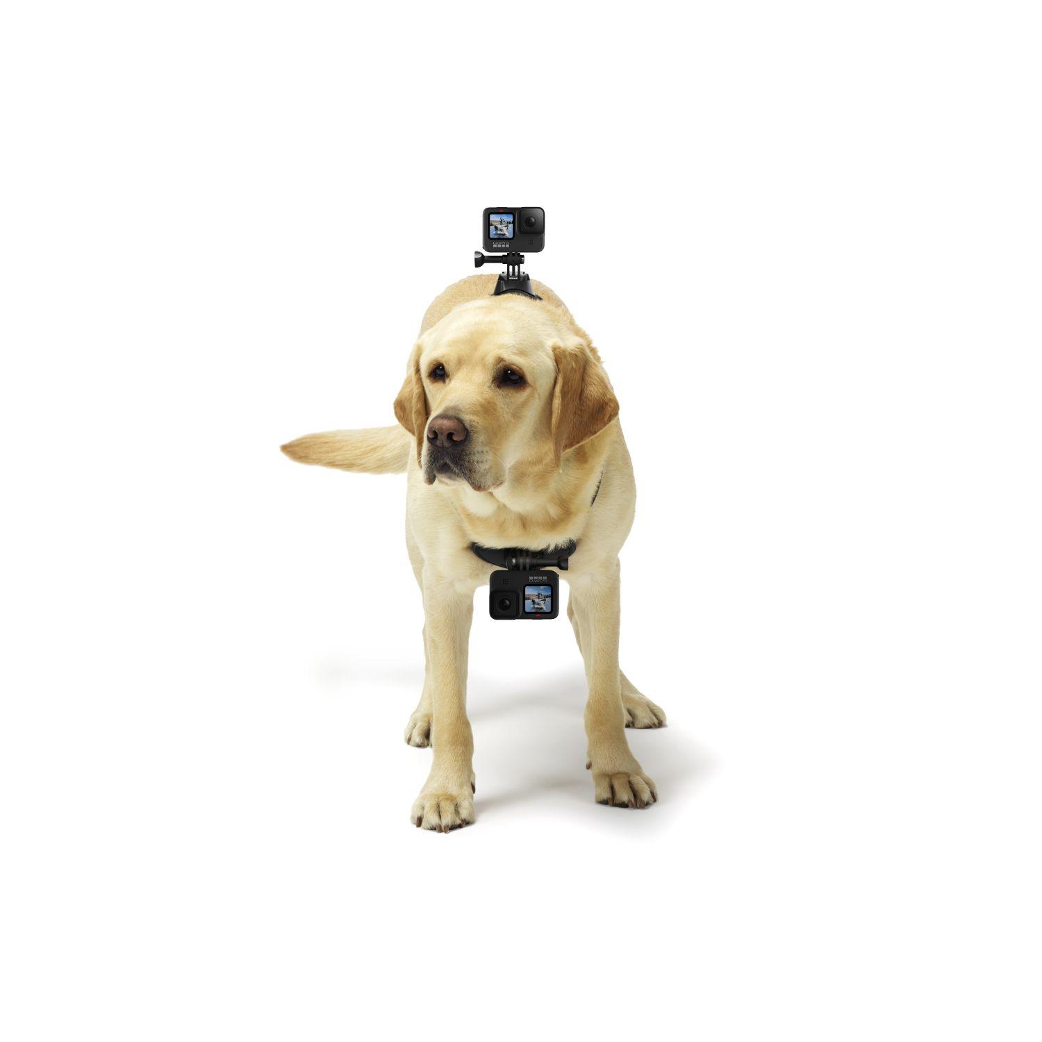 Arnés Fetch (Dog Harness)-2