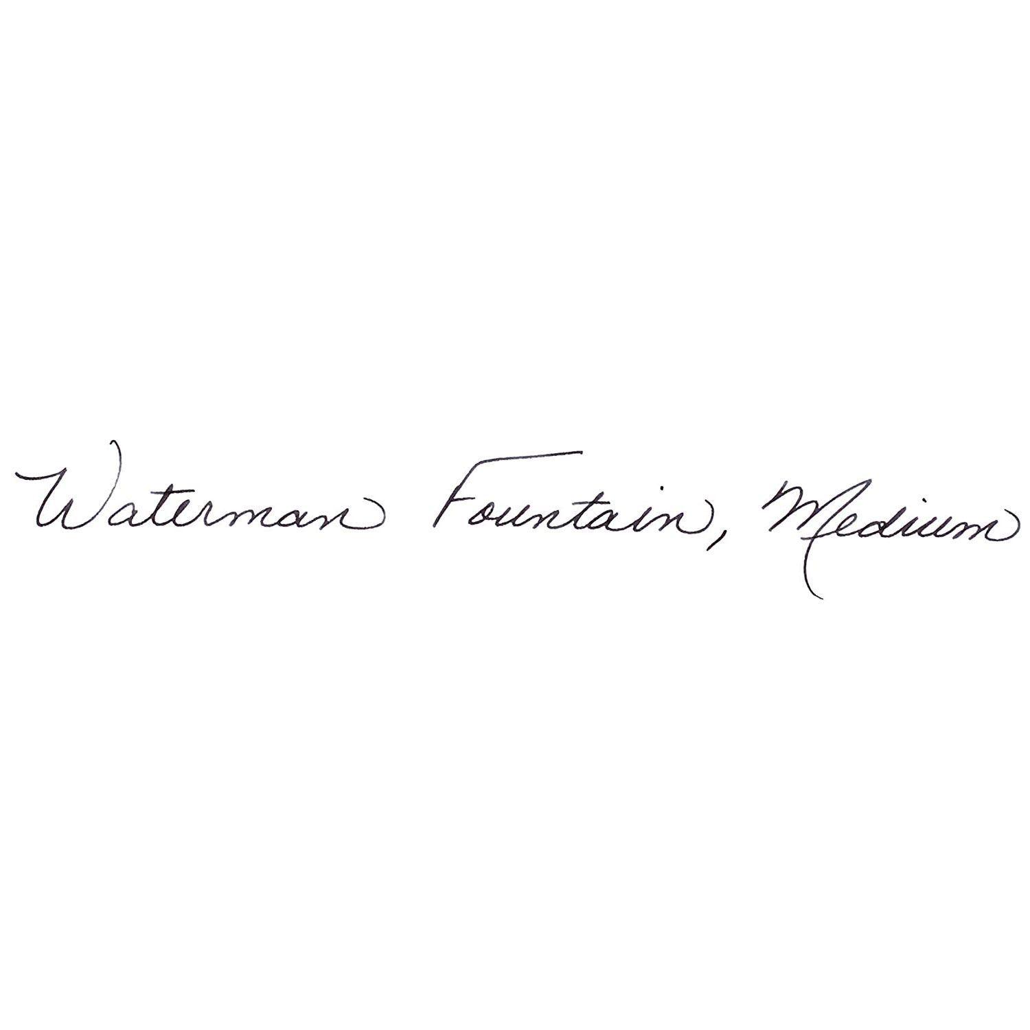Waterman Expert 3 Negro Pluma Fuente Black/Gold-7