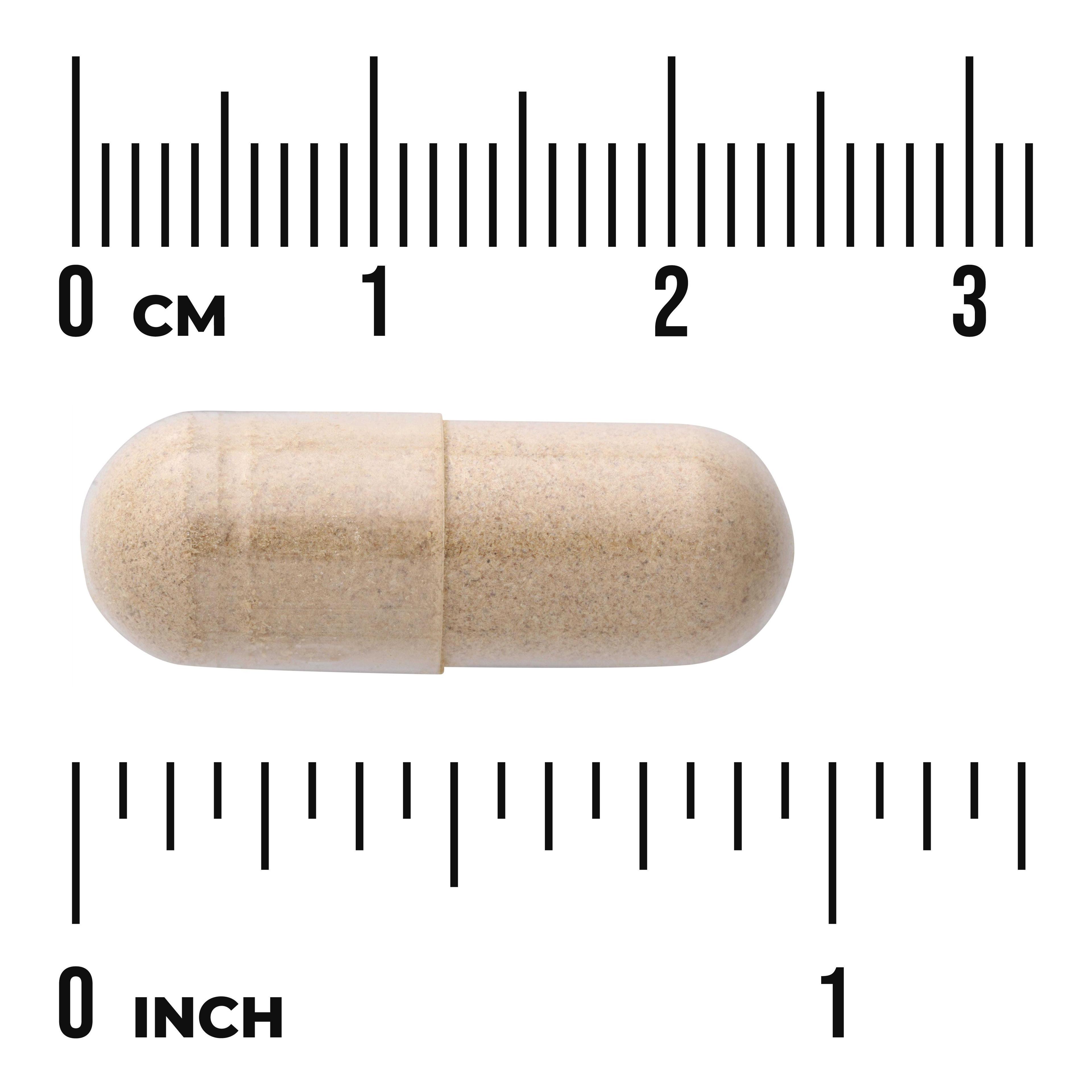 Full Spectrum Ashwagandha Swanson 450 mg 100 Capsulas-2