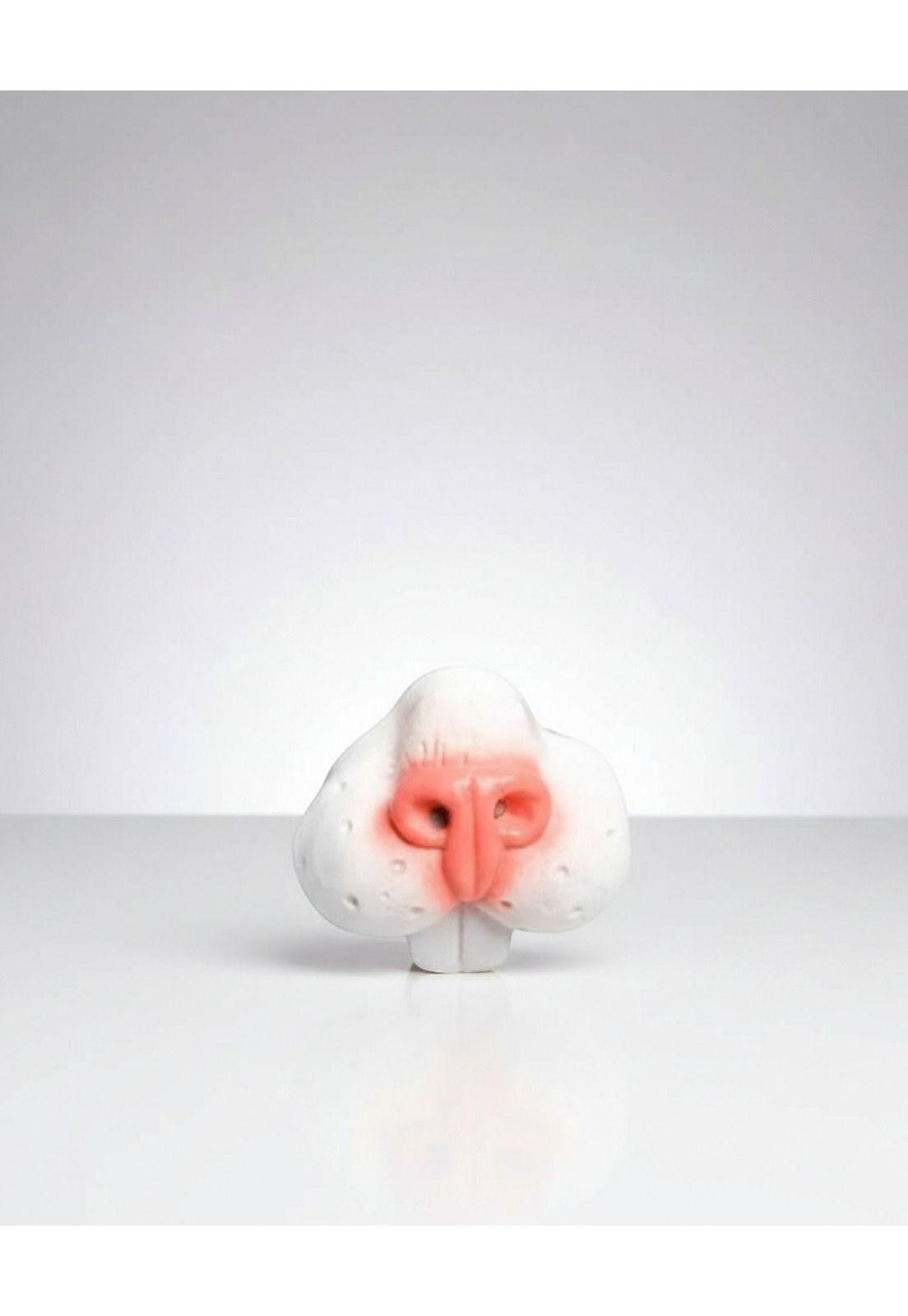 Disfraz Conejo Blanco Alicia País Las Maravillas Con Accesorios-5